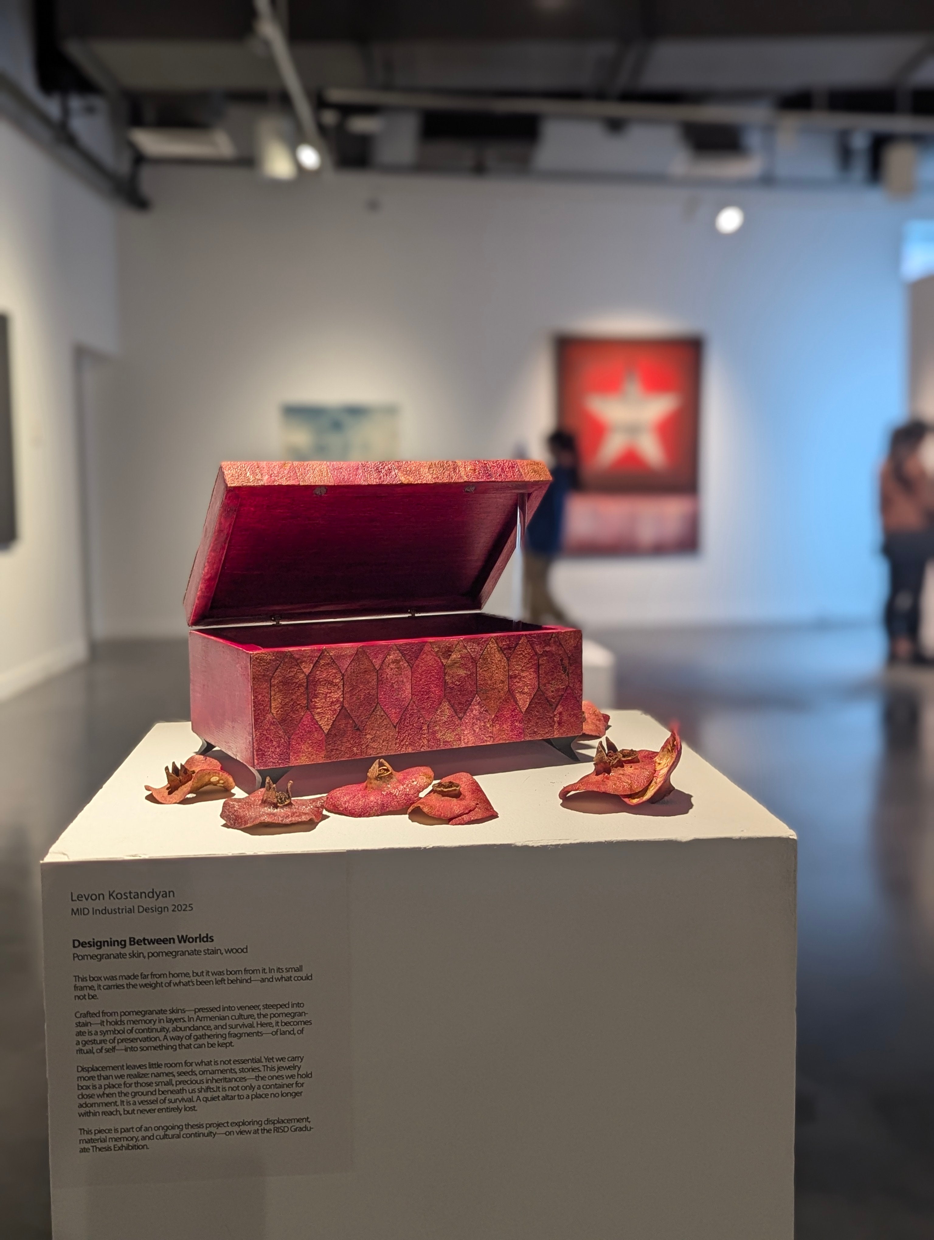 Jewelry box made of pomegranate skin sits open on a white pedestal, surrounded by dried skins in a gallery setting.