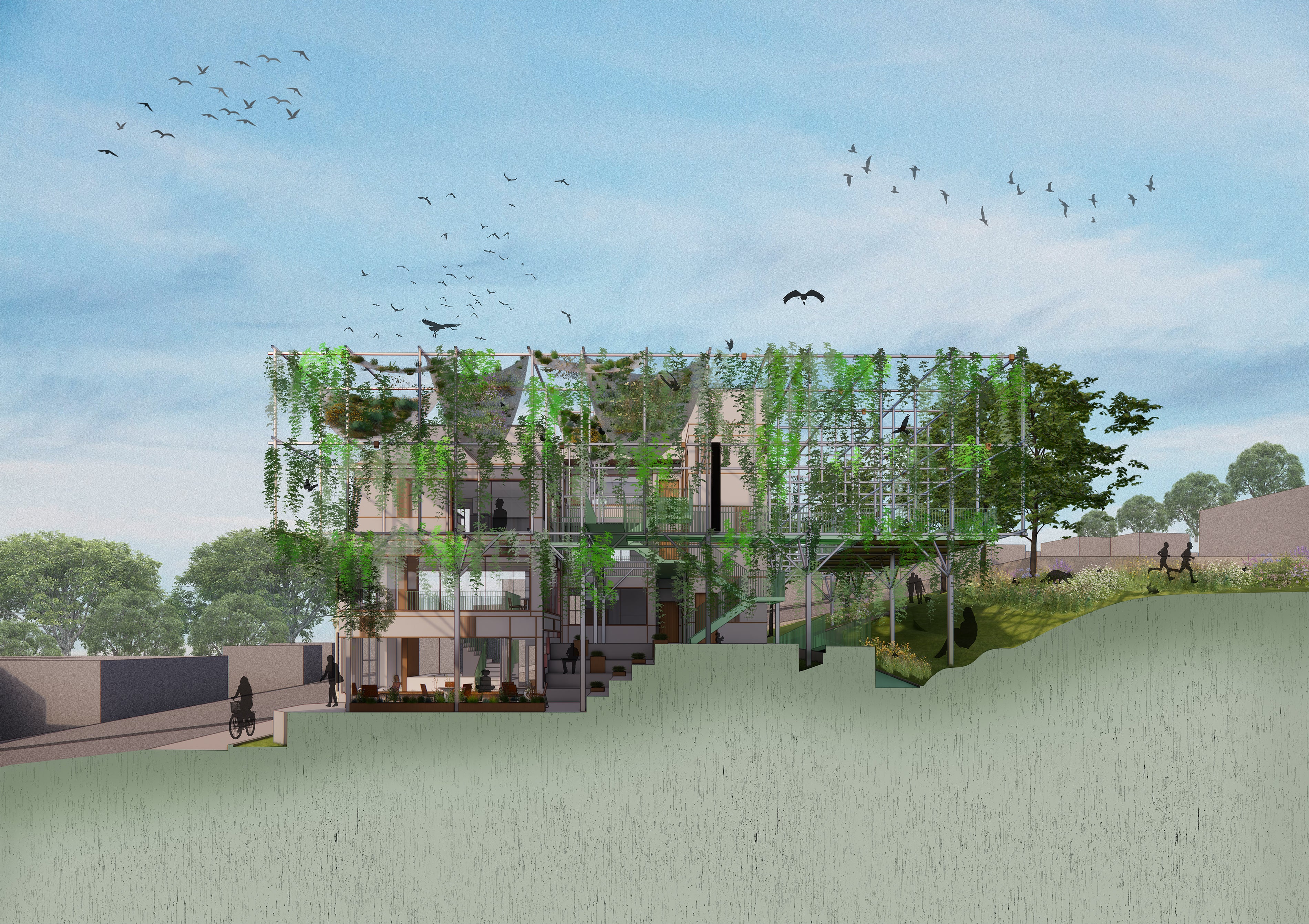Section perspective collage of what the project is expected to look like after 5 years with nature prospering. 