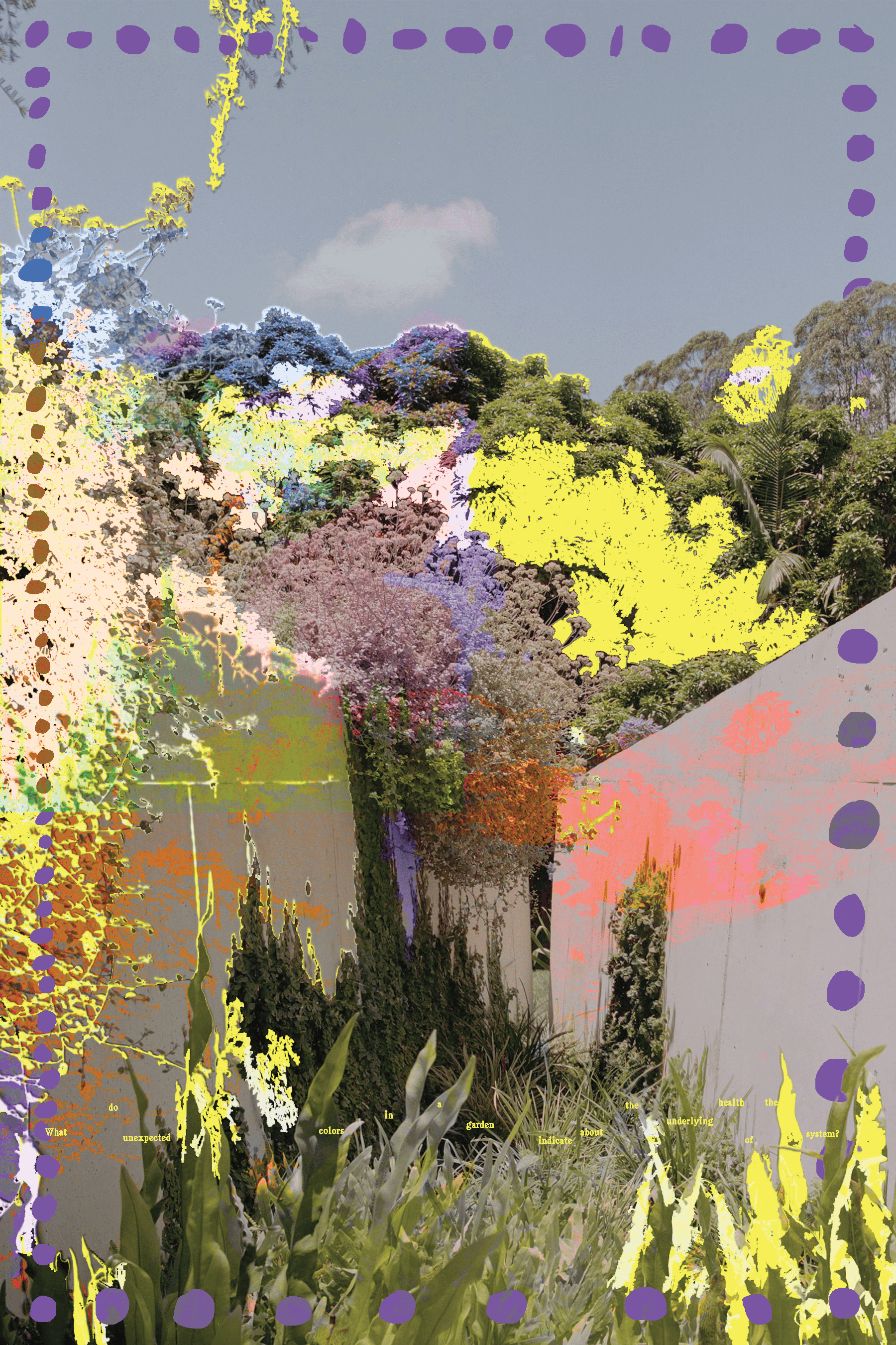 A digitally manipulated garden scene features unnatural splashes of color and dotted purple border, with bottom yellow text.