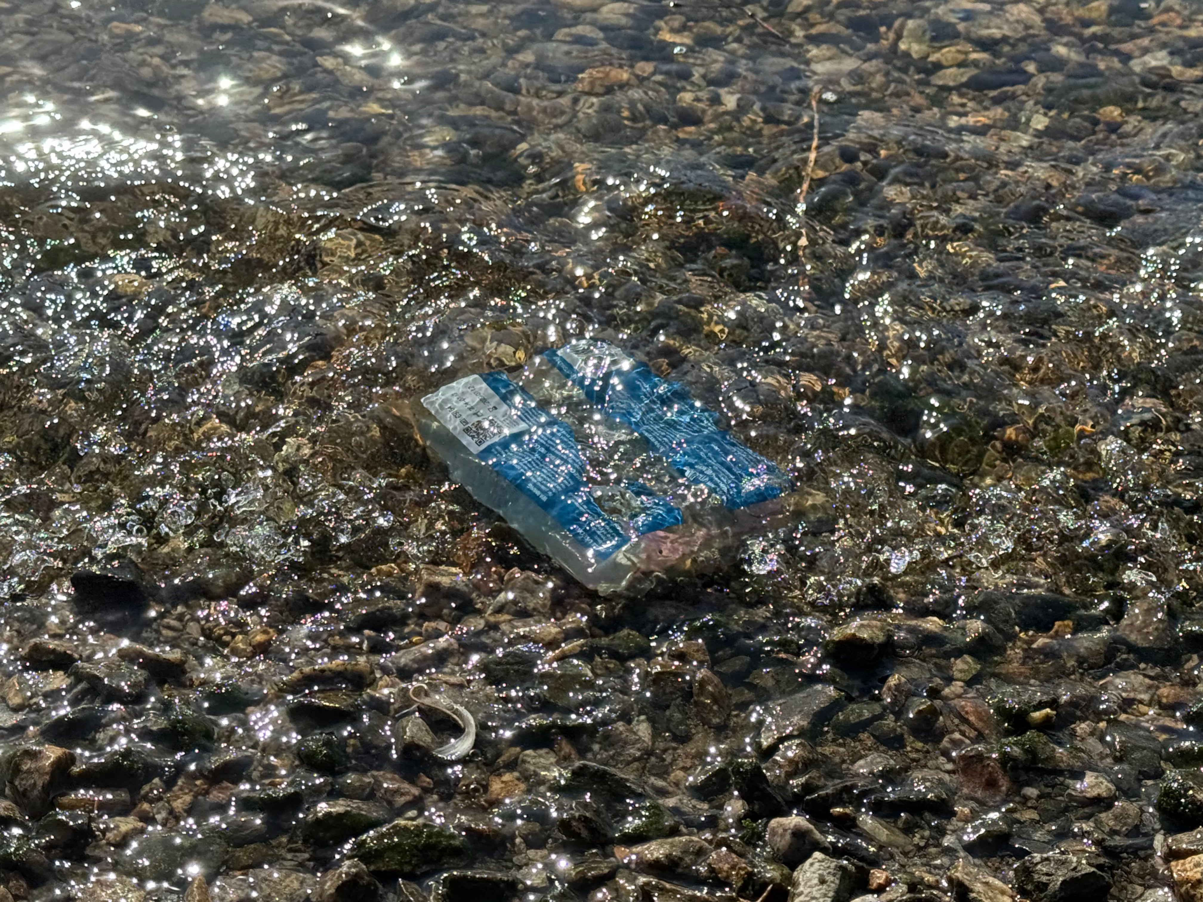 A blue plastic bag floating in shallow river water, surrounded by rocks and shimmering sunlight.