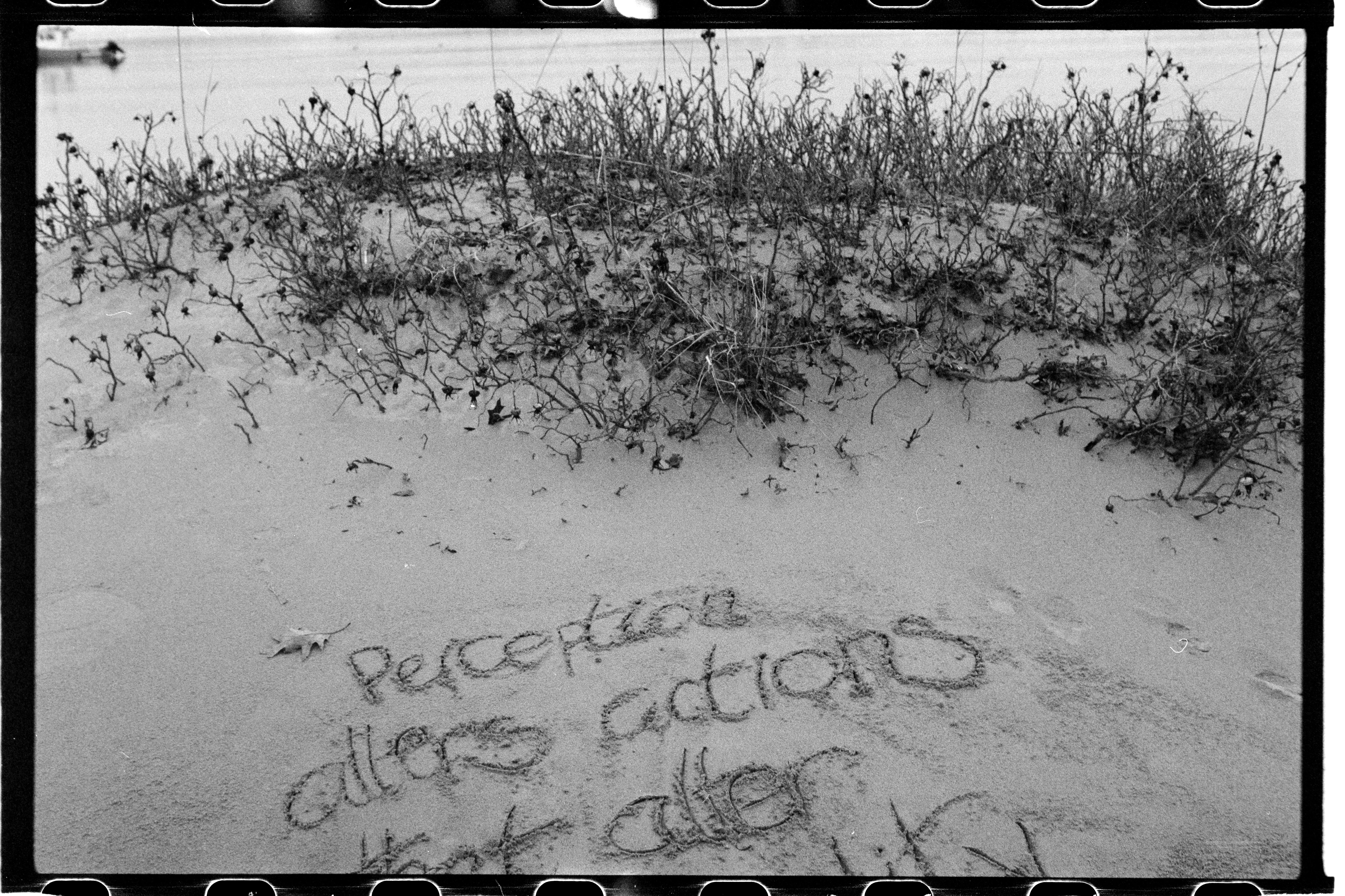 A film photo of "Perception alters actions that alter" written in the sand. The photo cuts off the end of the sentence. 