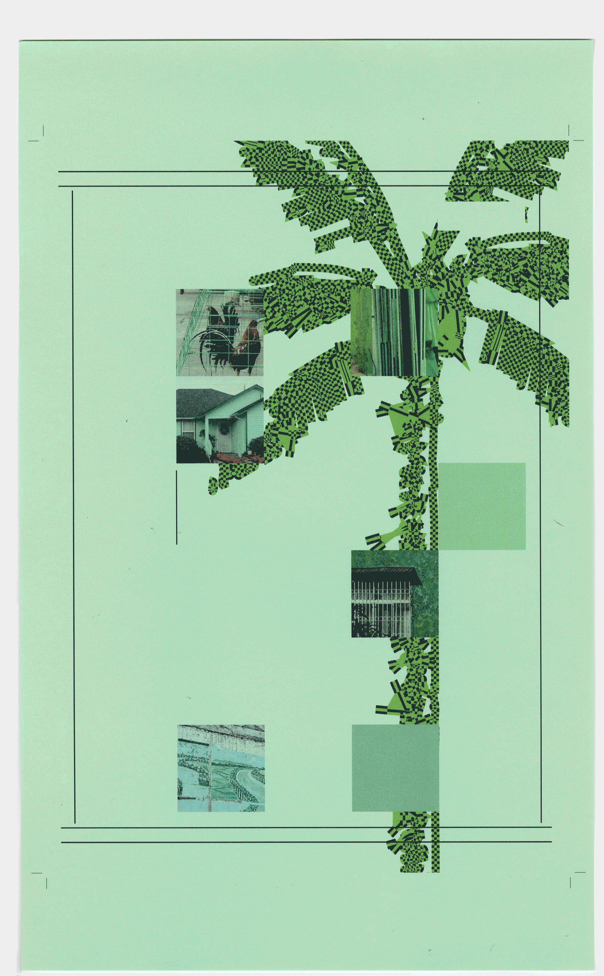 poster featuring shades of tropikalye