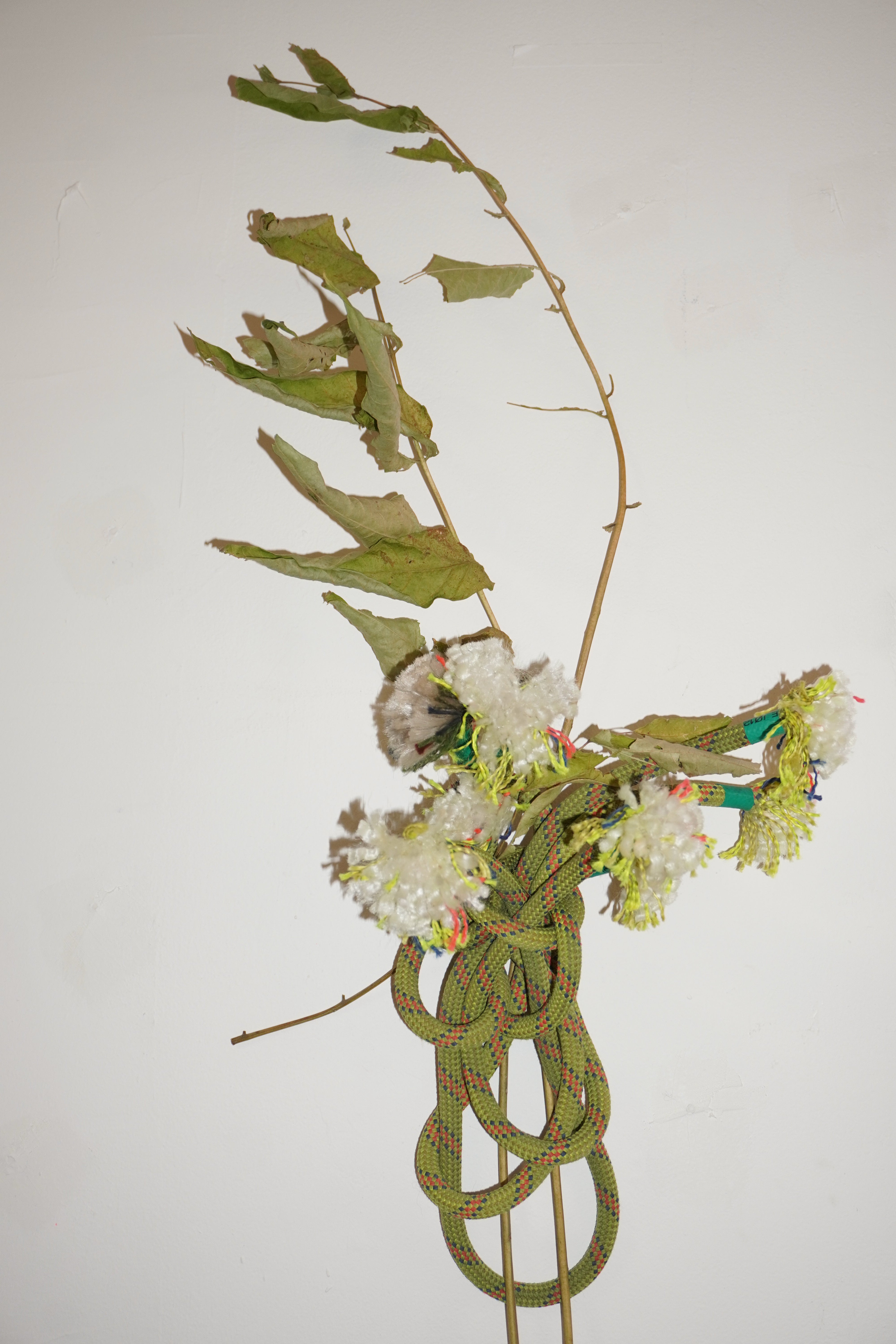 A green rope, cut so it naturally opens and splits at the ends like flowers, forming a loose bouquet shape.