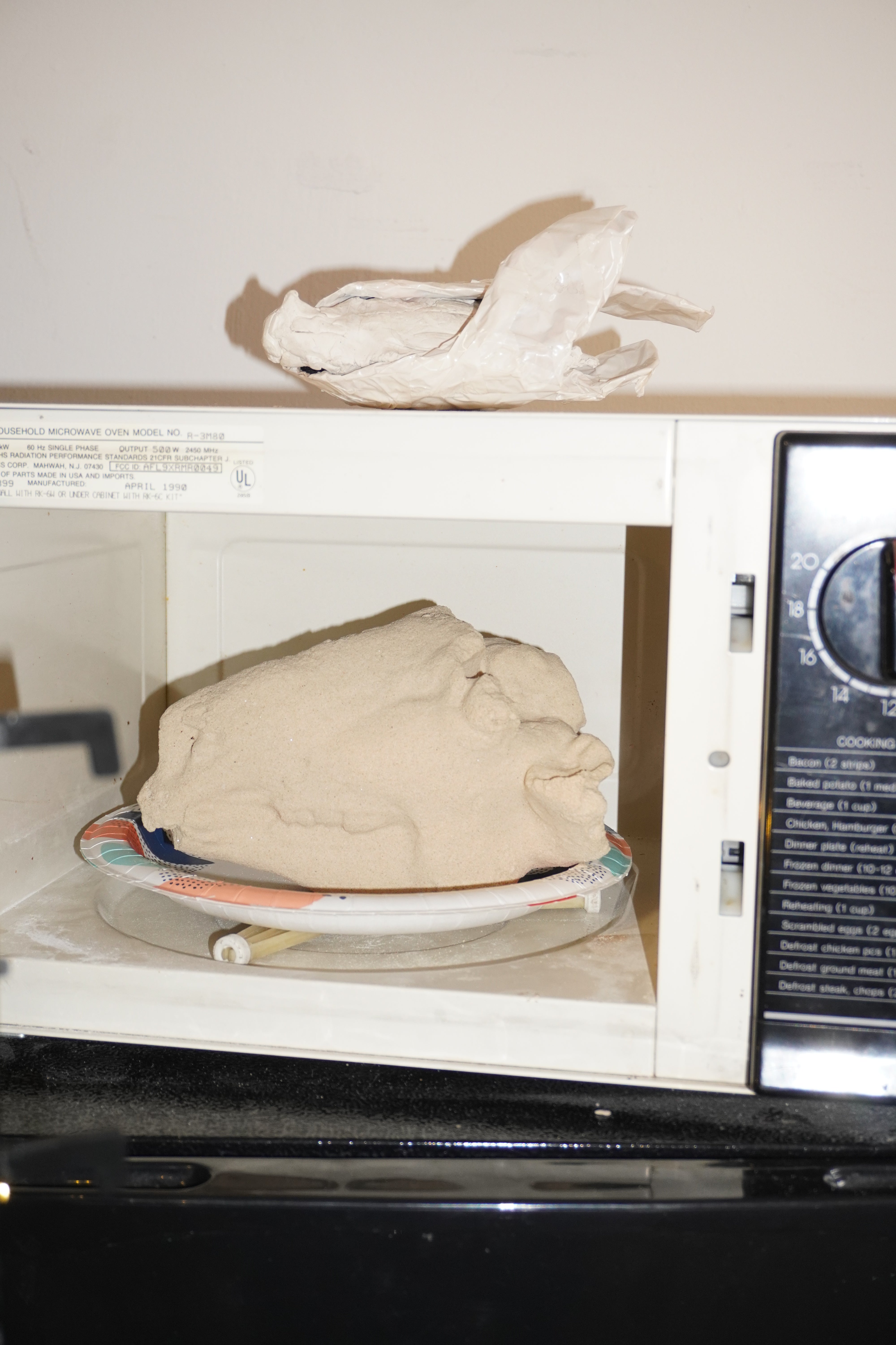 A lamb head made from sand, hardened by CO₂, set inside a microwave. On top sits a dead white bird made from plaster.