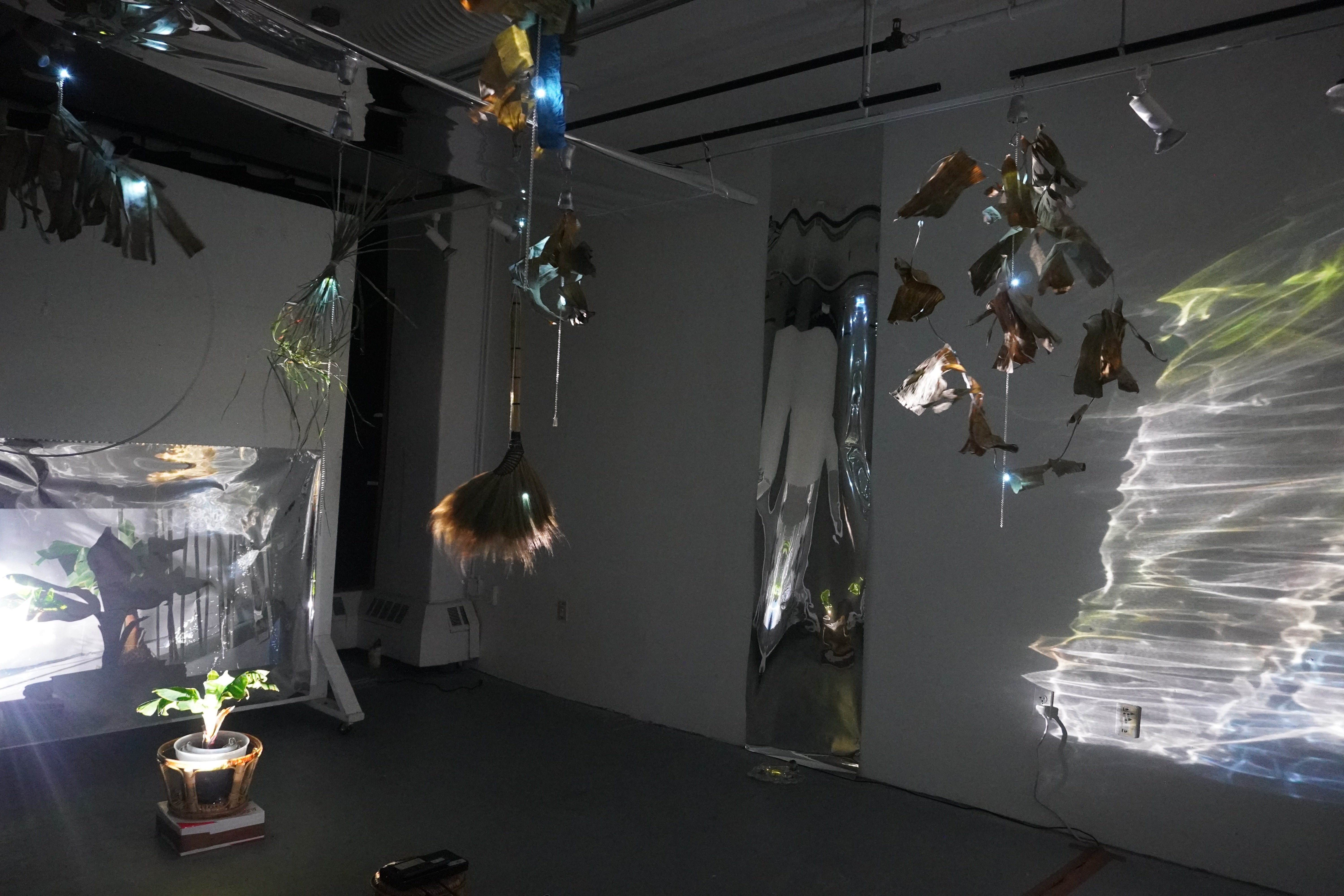 In a dark room, a baby banana tree on the left has video projected onto it, casting refracted light across the walls. Above, metal sculptures with curled dried bamboo leaves and tiny lights hang overhead, 