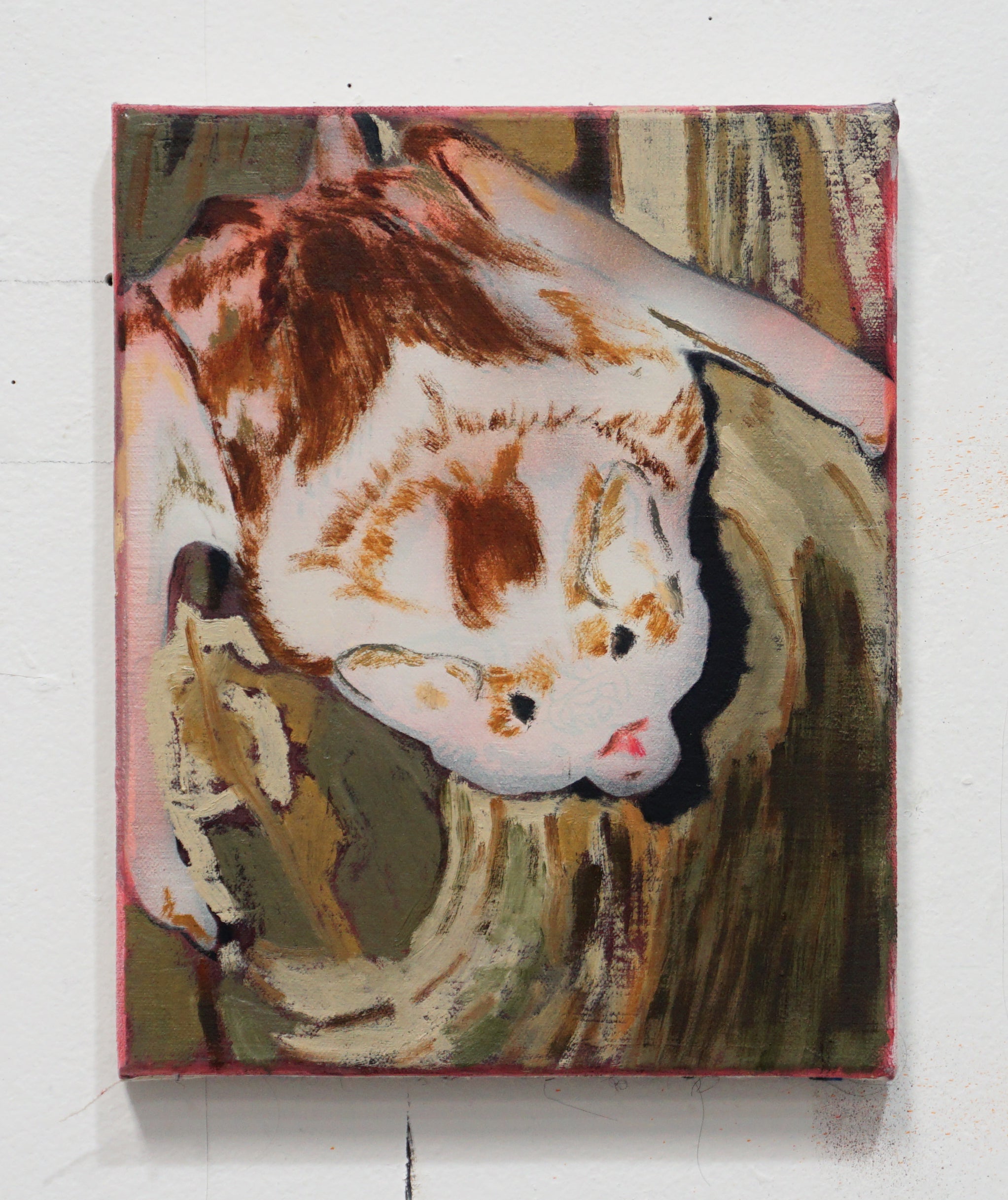 A pale brown bat perches on the side of a tree, looking at you,