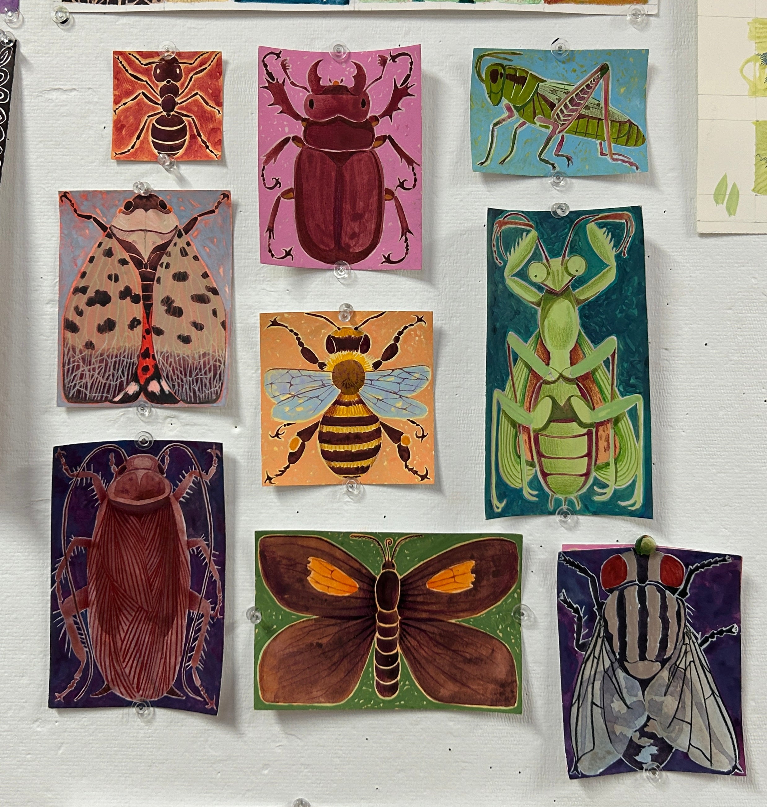 Collection of images depicting different insects: reddish brown stag beetle, carpenter ant, spotted lanternfly, red-legged grasshopper, praying mantis, honey bee, moth, cockroach, flesh fly