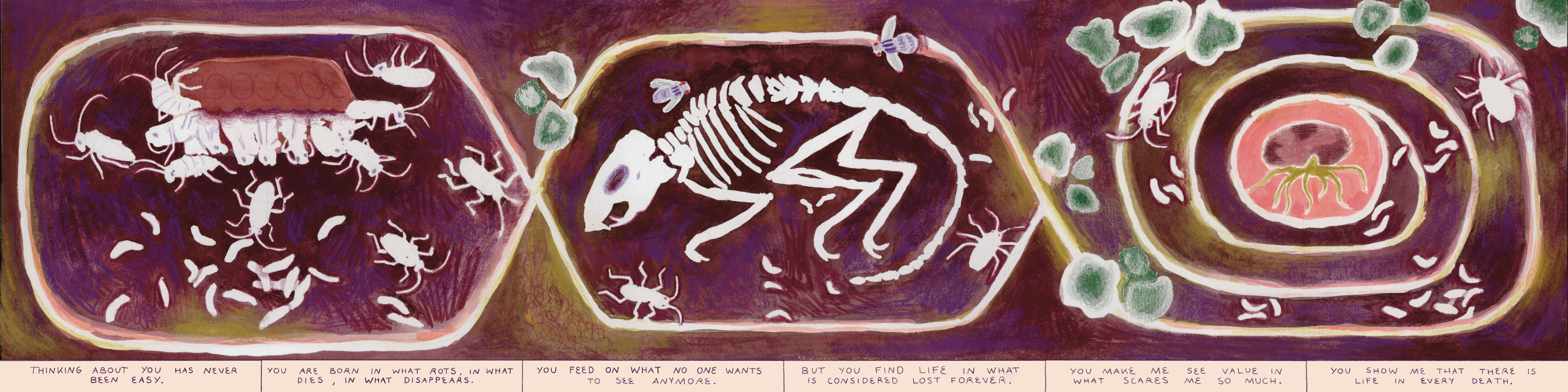 "Long purple composition depicting cockroaches and flesh flies. With the text ""I found you on the frame of my window, after you tried to escape. You had a smell of death on you. I couldn’t stop thinking about where you had been before coming here. I felt scared and disgusted. I tried to get rid of you, feeling like you were bringing death with you. But death was already here, inside these walls, before you arrived. You’re just the one who makes it visible. Thinking about you has never been easy.  You’re bo