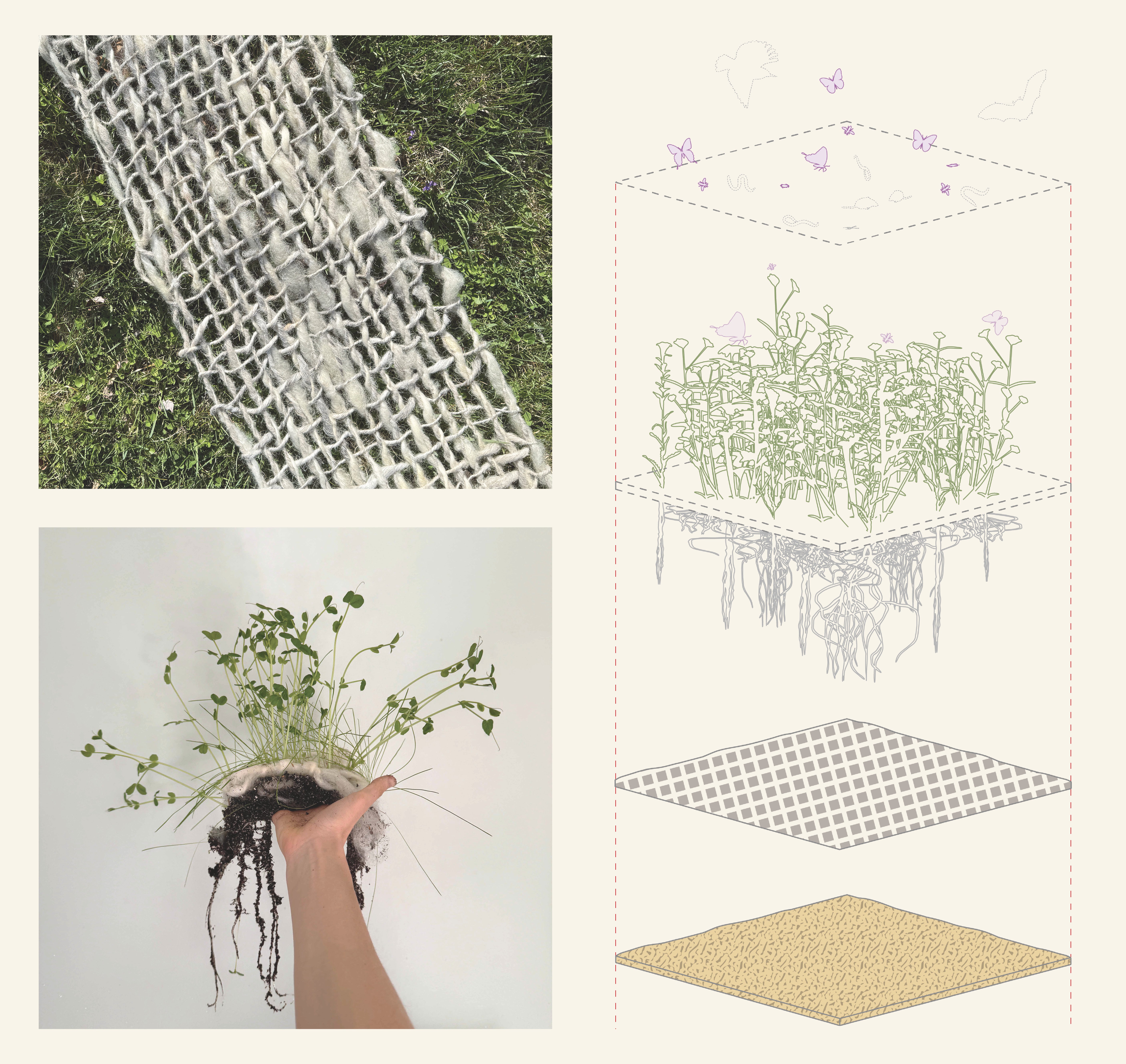 This graphic has three images: 1- A close up of loosely woven waste wool yarn on top of green grass. 2- A geotextile that is growing with green leafy plants. 3- An exploded axon drawing that diagrams the layers of the geotextile: soil, woven wool yarn, and plant material.
