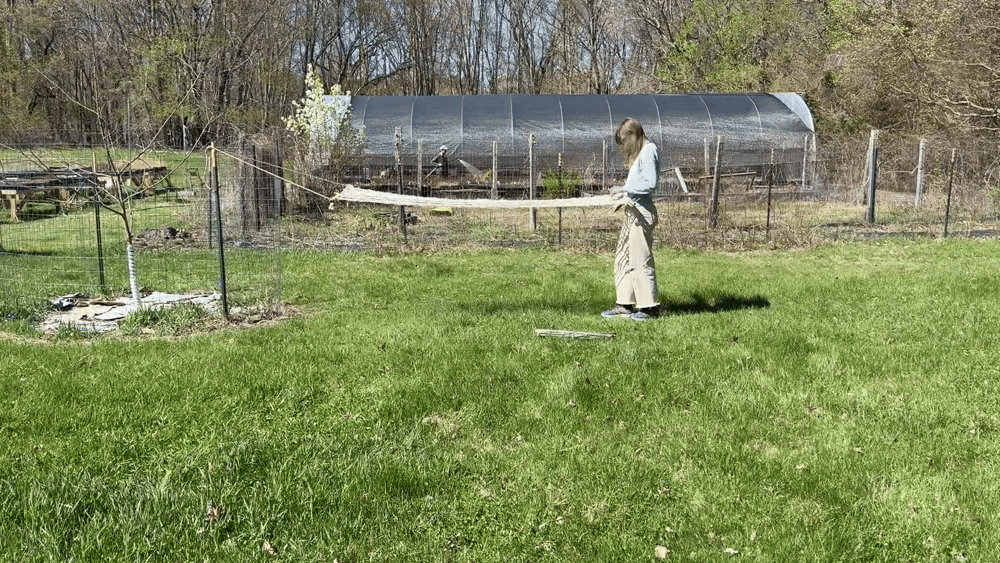 This GIF shows the artist weaving on a handmade back-strap loom (outdoors in front of a greenhouse, with another person watering plants).