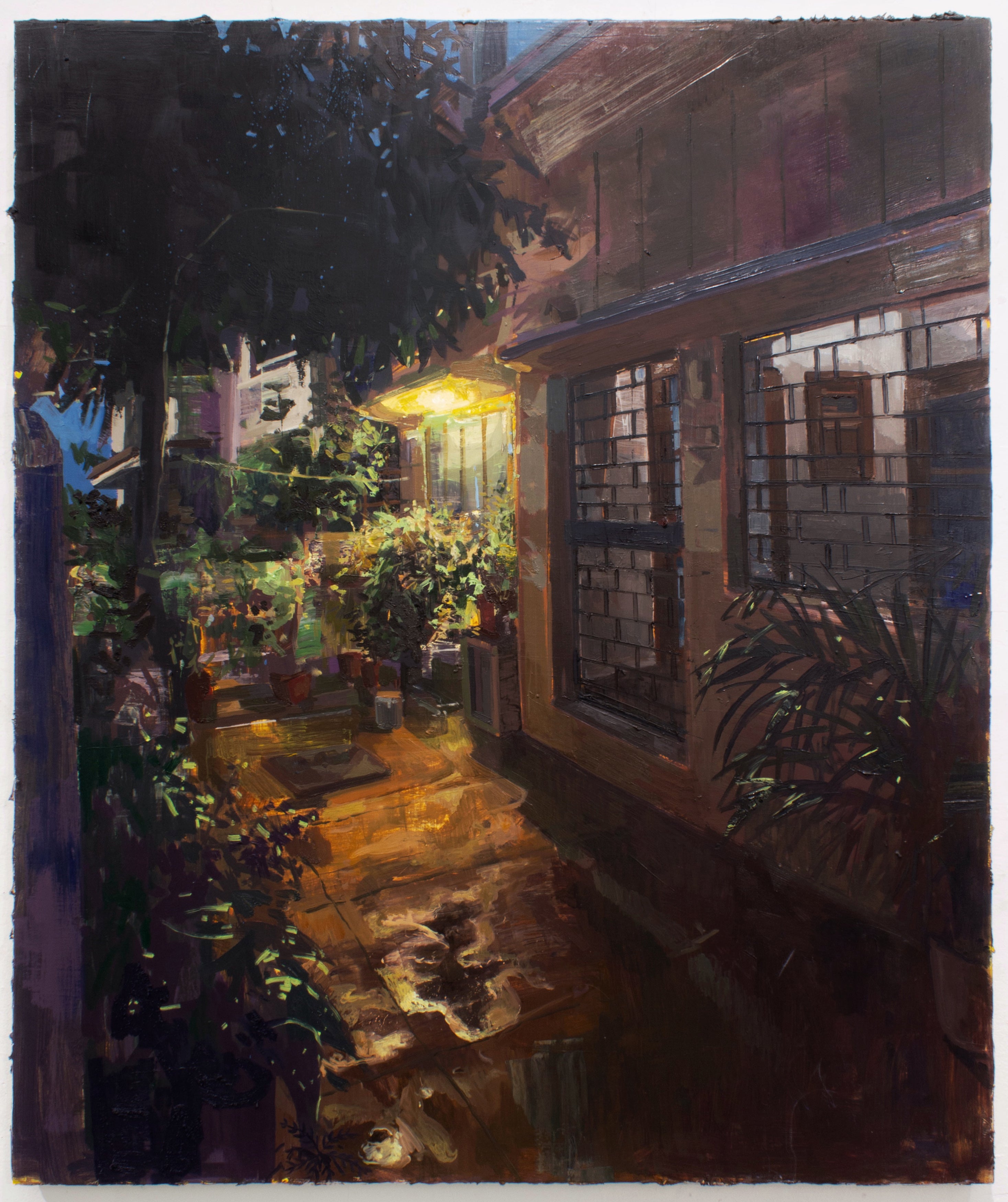 Late evening scene of an entryway to a house with potted plants and a strong yellow light  from a lamp which is being reflected in a puddle on the ground.