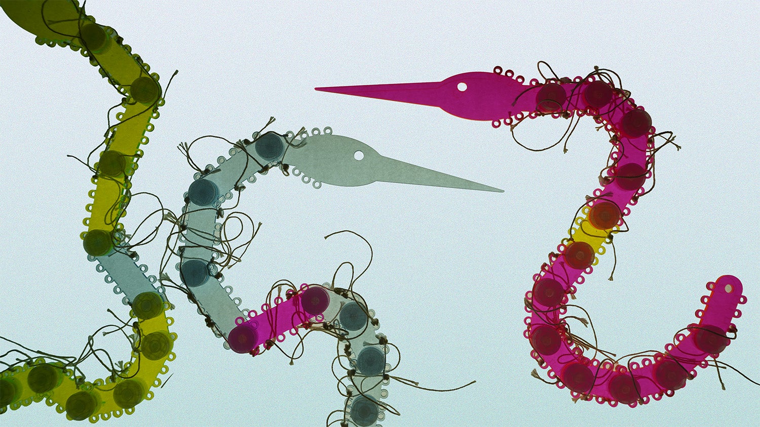 Three laser-cut acrylic models of heron neck structures in green, blue, and pink, each made of segmented interlocking pieces connected by string, suspended against a soft blue gradient background.
