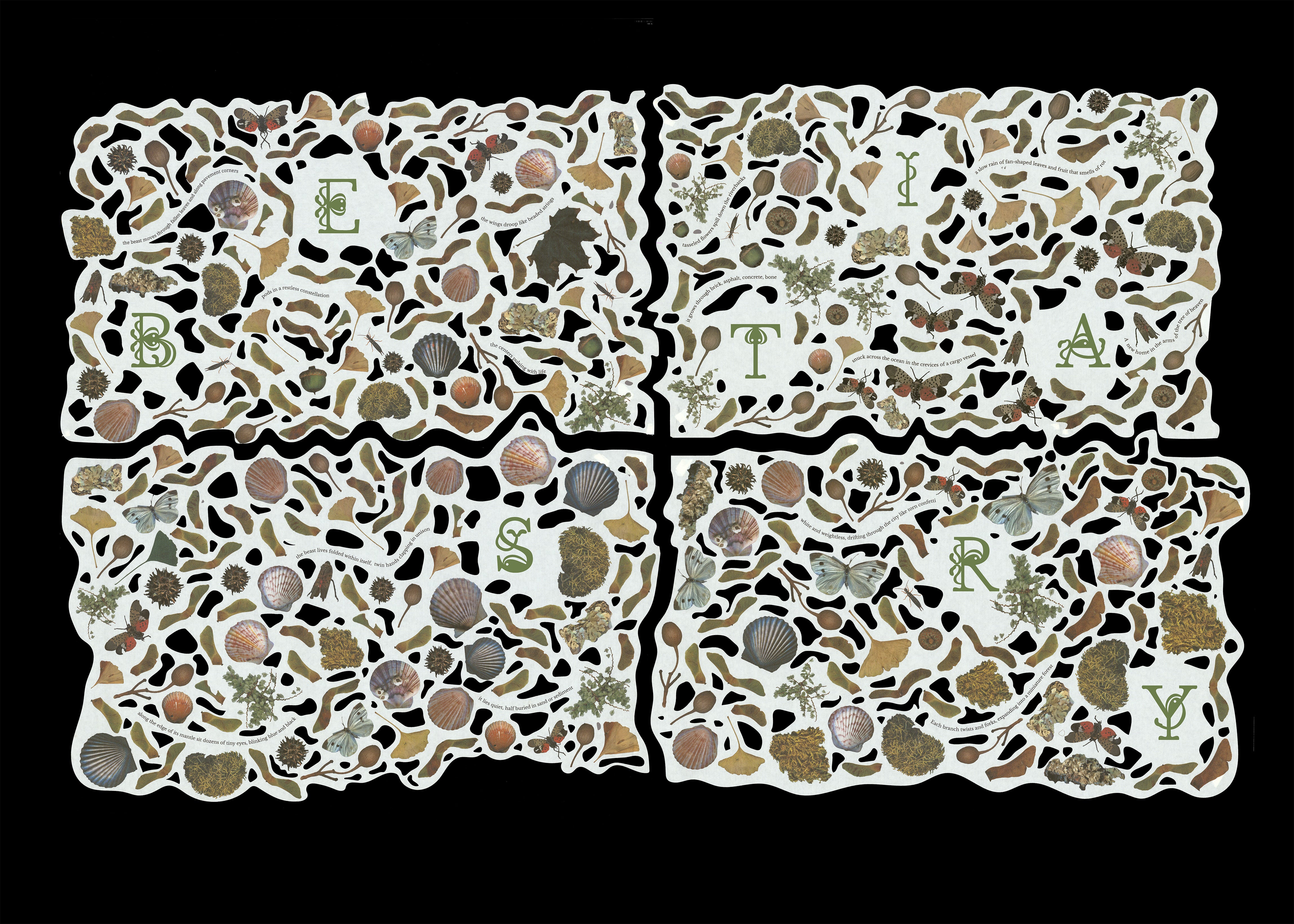 Four interlocking posters with irregular, organically shaped edges, densely populated with scanned images of ground-level flora and fauna including ginkgo leaves, maple seeds, seashells, lichens, berries, butterflies, and lanternflies. Large decorative letterforms spelling BESTIARY in green are scattered across each panel, alongside curved lines of text. The space between images is pierced with irregular laser-cut holes.