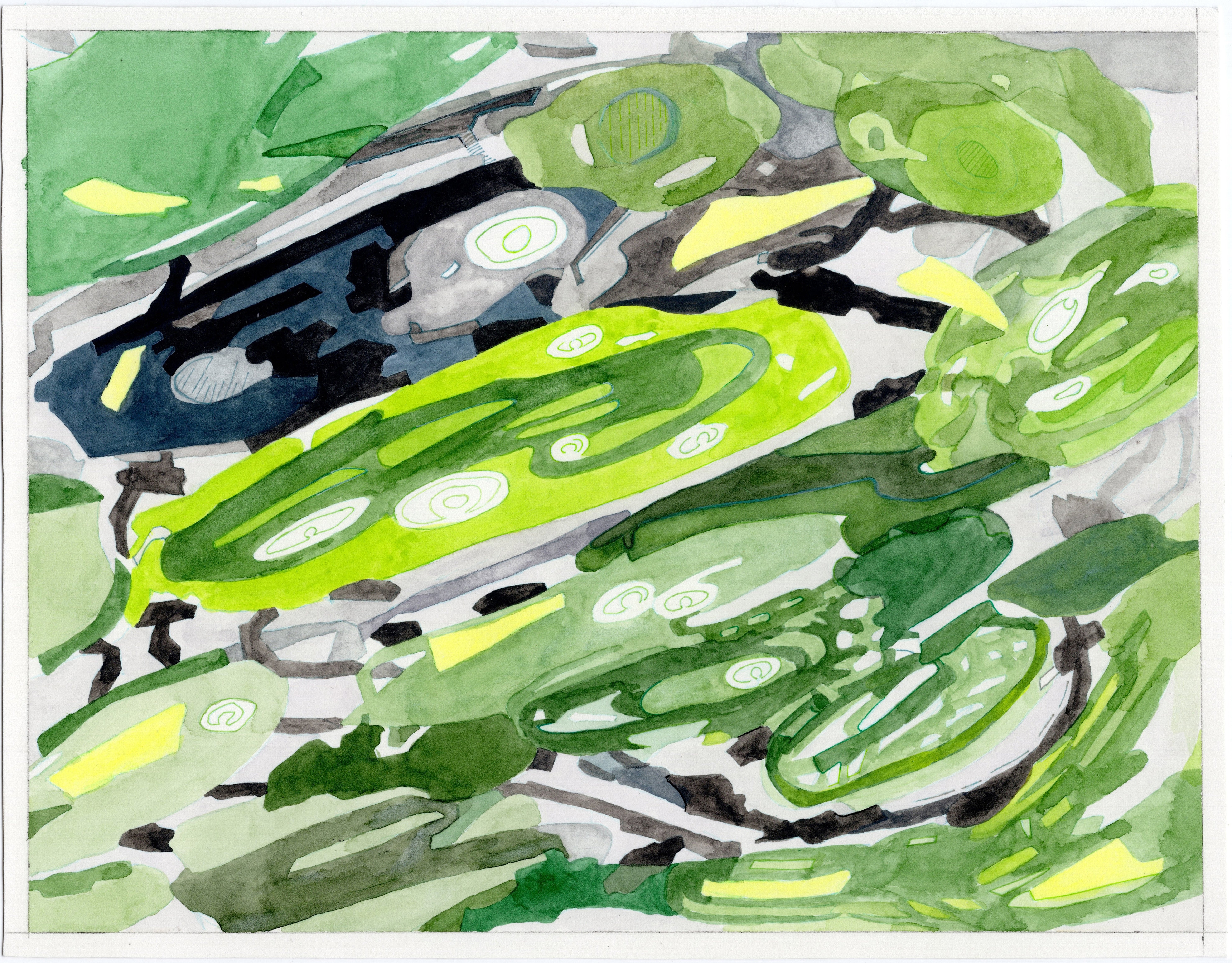 Moss, then grass.