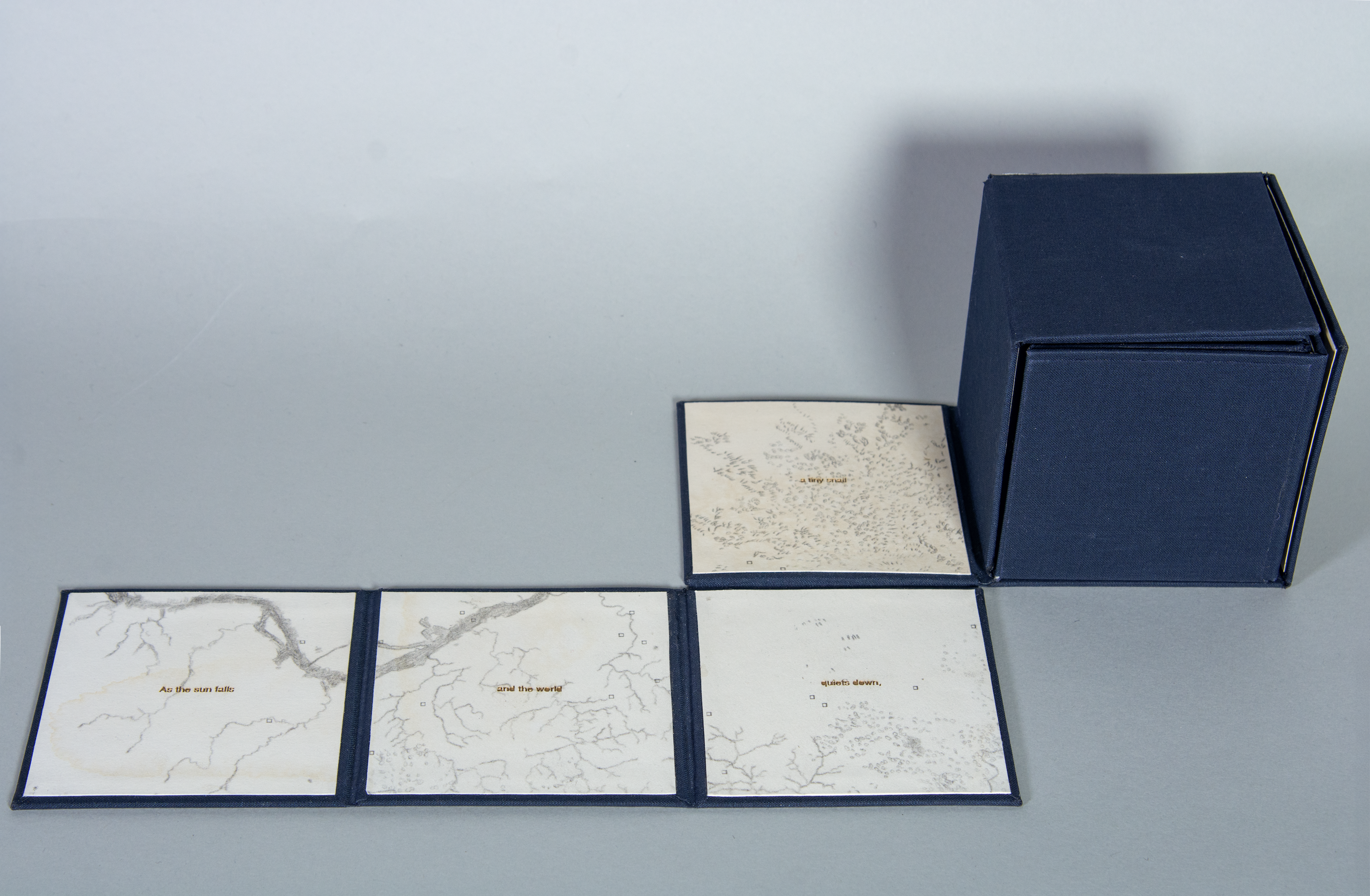 Four tan squares with graphite drawings and laser cut text are formatted in an “L” shape and connected to a cube covered in navy book cloth. They are the beginning narrative pages of the unfolded cube.