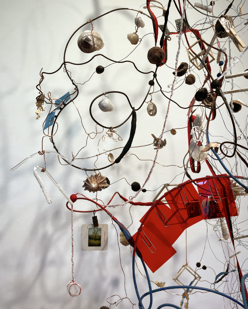 Wire and string connecting various seashells, nutshells, pieces of glass and metal, blue and red transparency sheets, film strips, and other office supplies. There are salt crystals growing on many objects