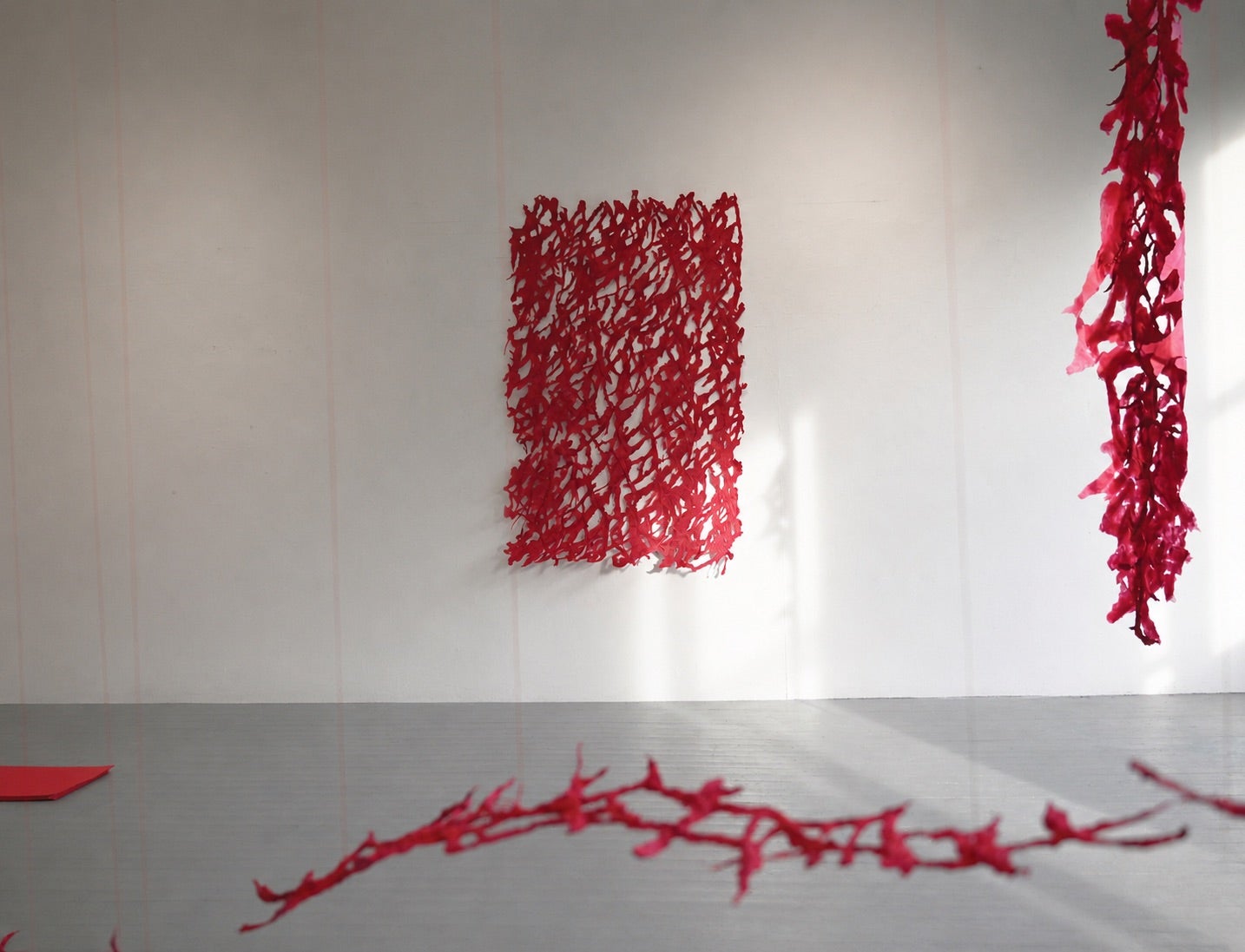 Red pulp painting installation hanging on a white gallery wall, with layered hanging forms.