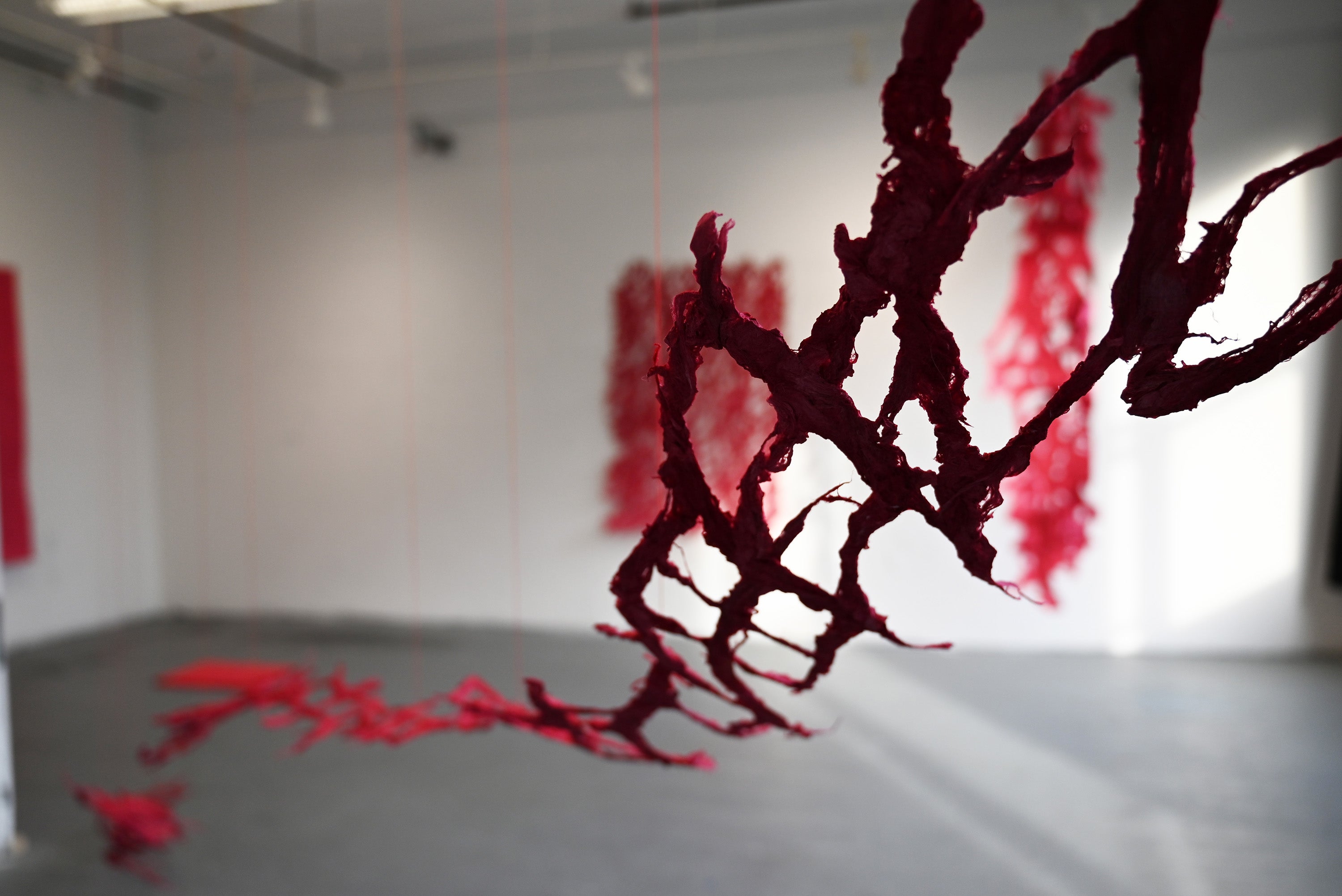 Details of suspended red kozo bark forms, with blurred red pulp installations in the gallery background.