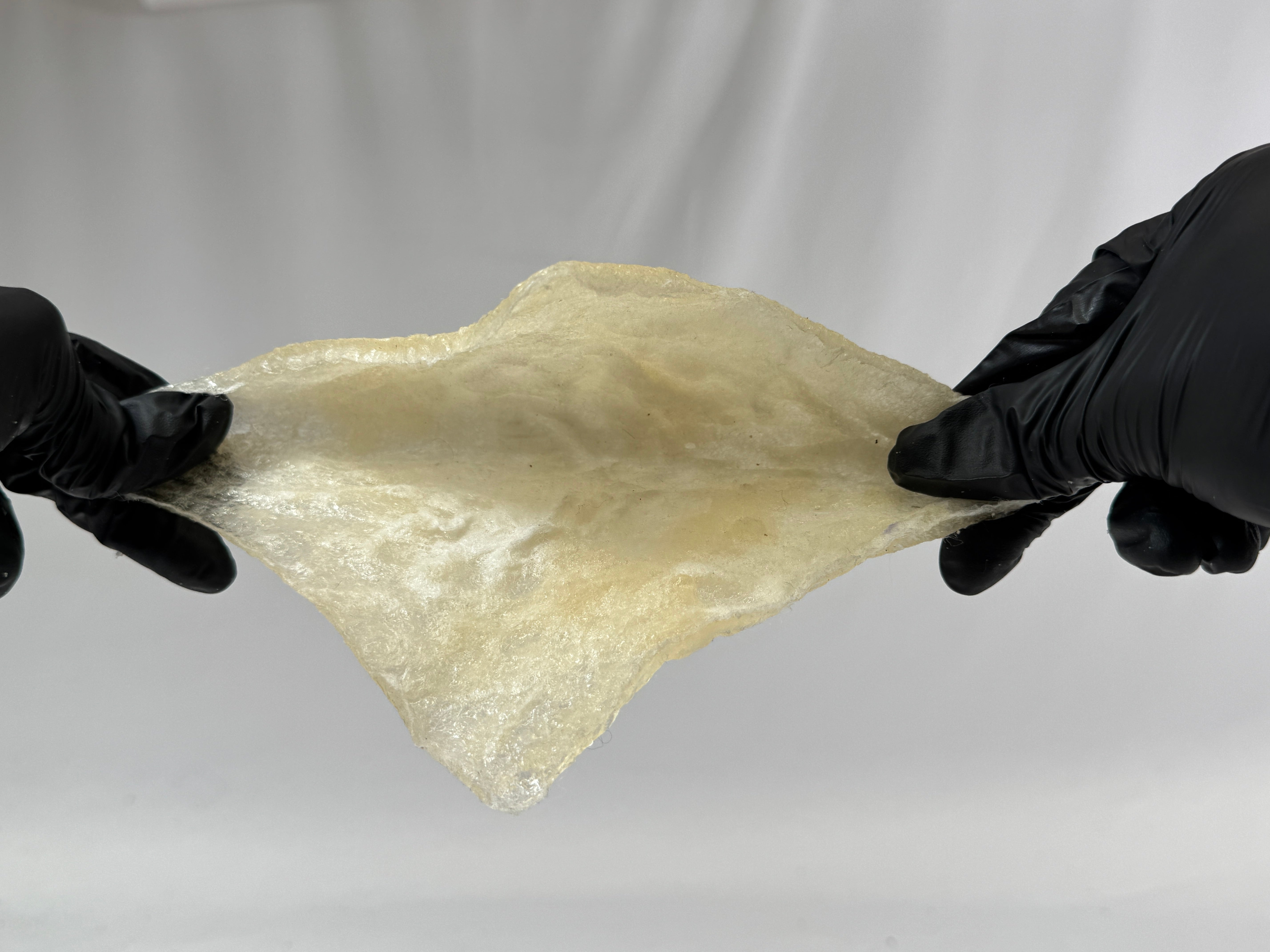 A simple tensile test on bioplastics made primarily from wool and gelatin. 6 inches by 6 inches. A qualitative study of the material through the manipulation of variables.