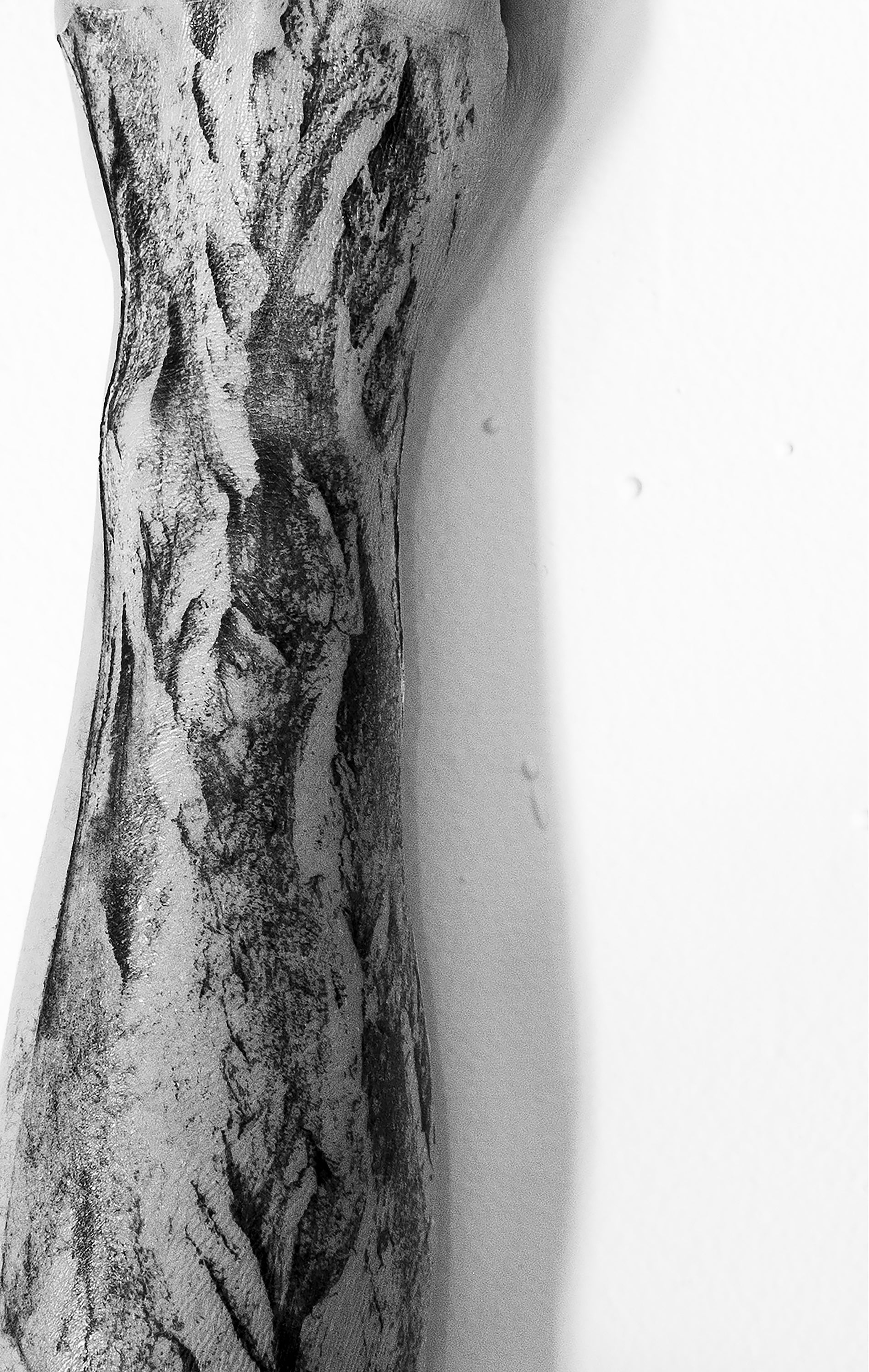 A black and white photograph of a human forearm that extends from the top to the bottom of the photo. The arm is covered in a flat texture of tree bark. 