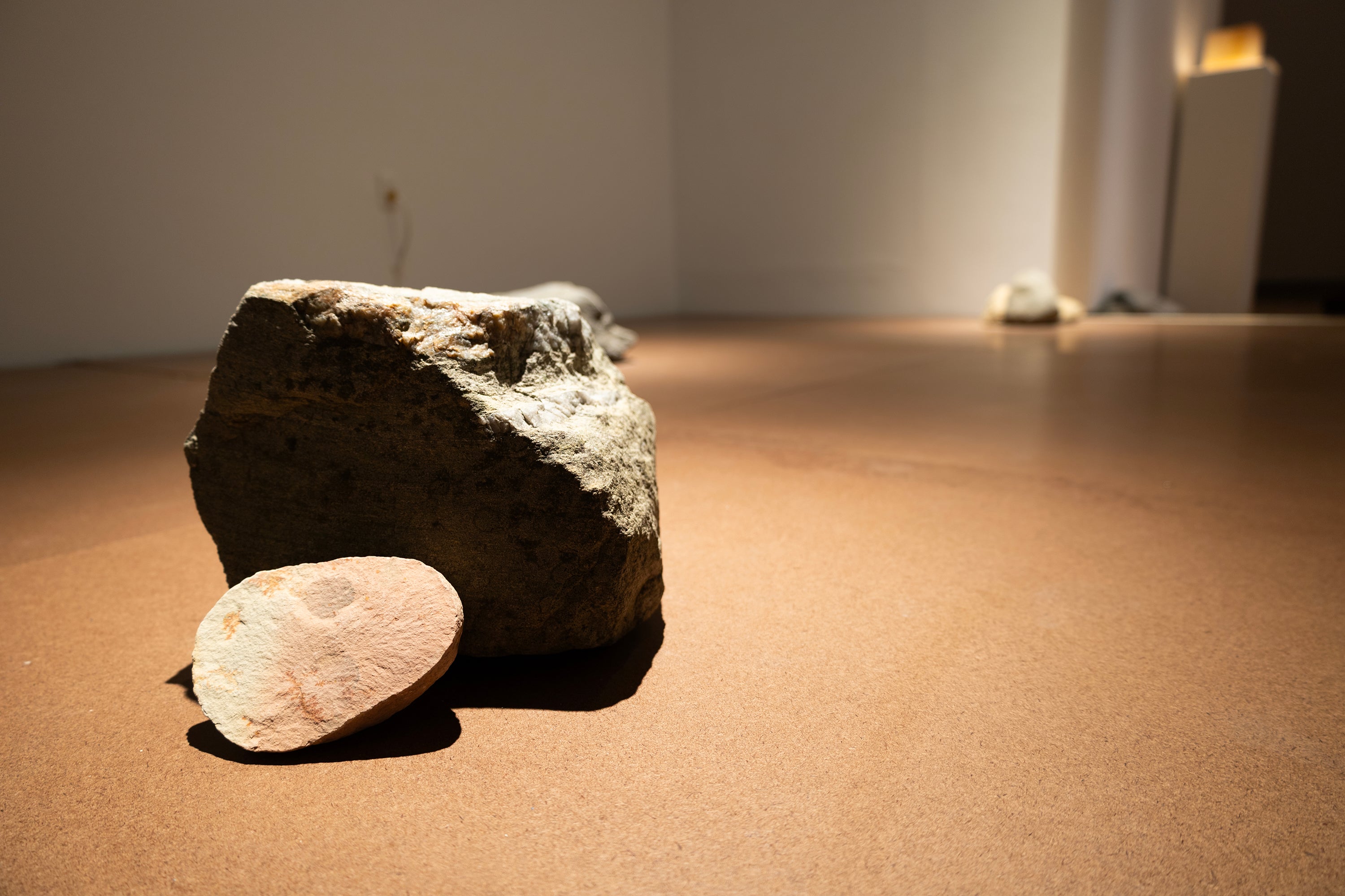 A close-up of a pair of rocks, the large one is angular, with a soft oval shaped rock leaning against it. The two rocks are on a brown flooring, with smaller rocks off in the distance. 