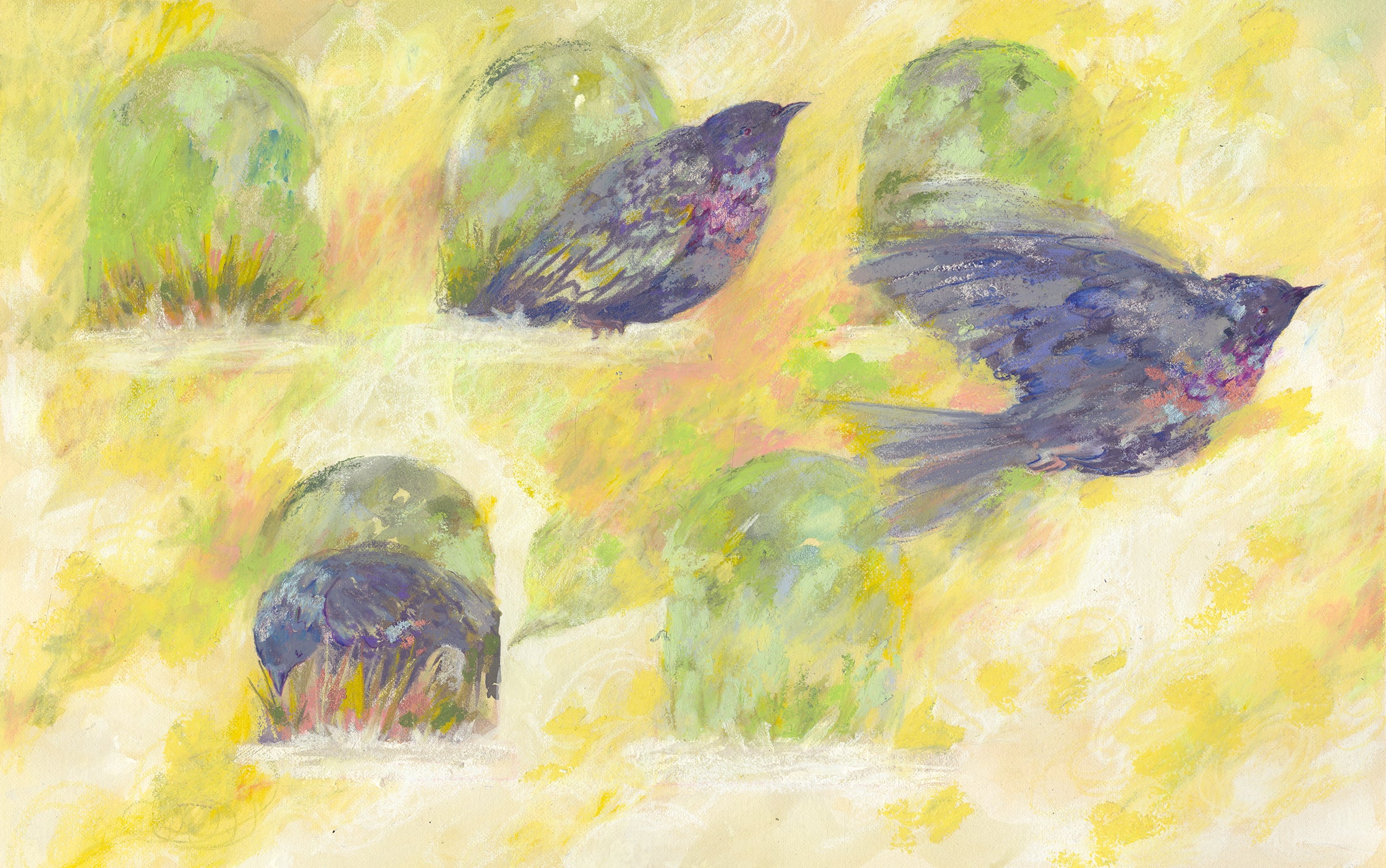 Three pigeons inhabit five arched doorway-like homes; one nests, one looks upward, and one flies toward the right-hand side of the page.