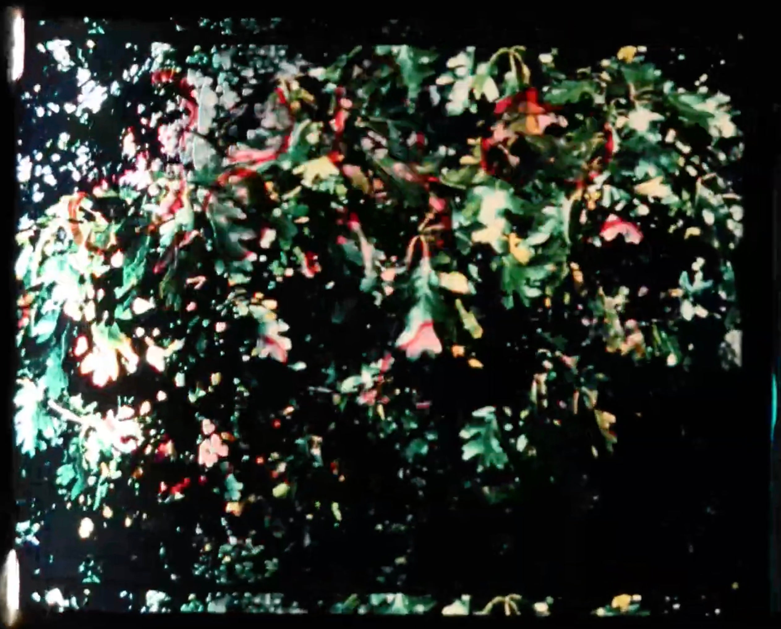 From Nayyab Naveed's experimental film Nurs Shehtoot (2025)