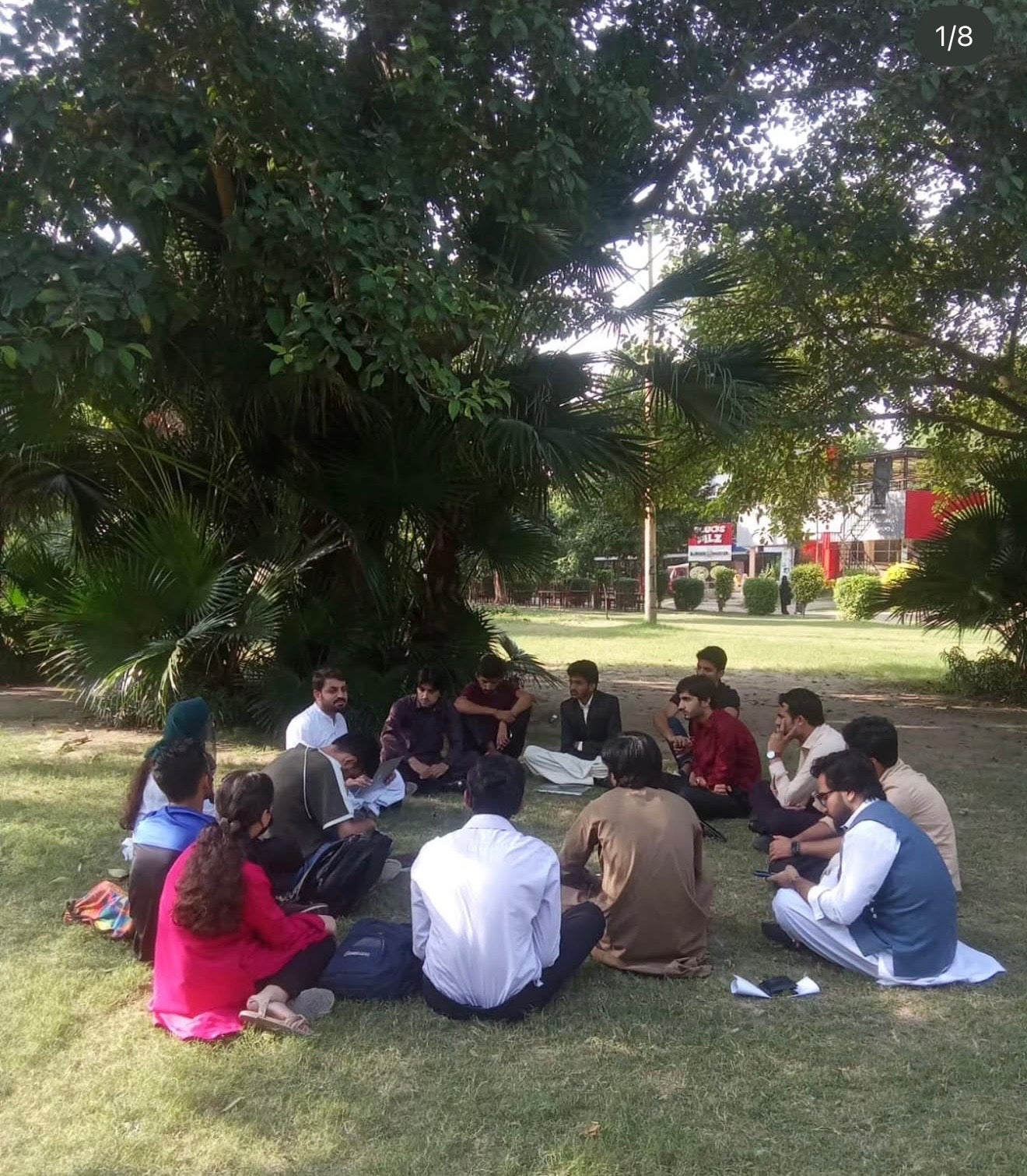 A circle of students and workers seated on a lawn in dappled sunlight, leaning toward each other in conversatiom; showcases knowledge shared without hierarchy