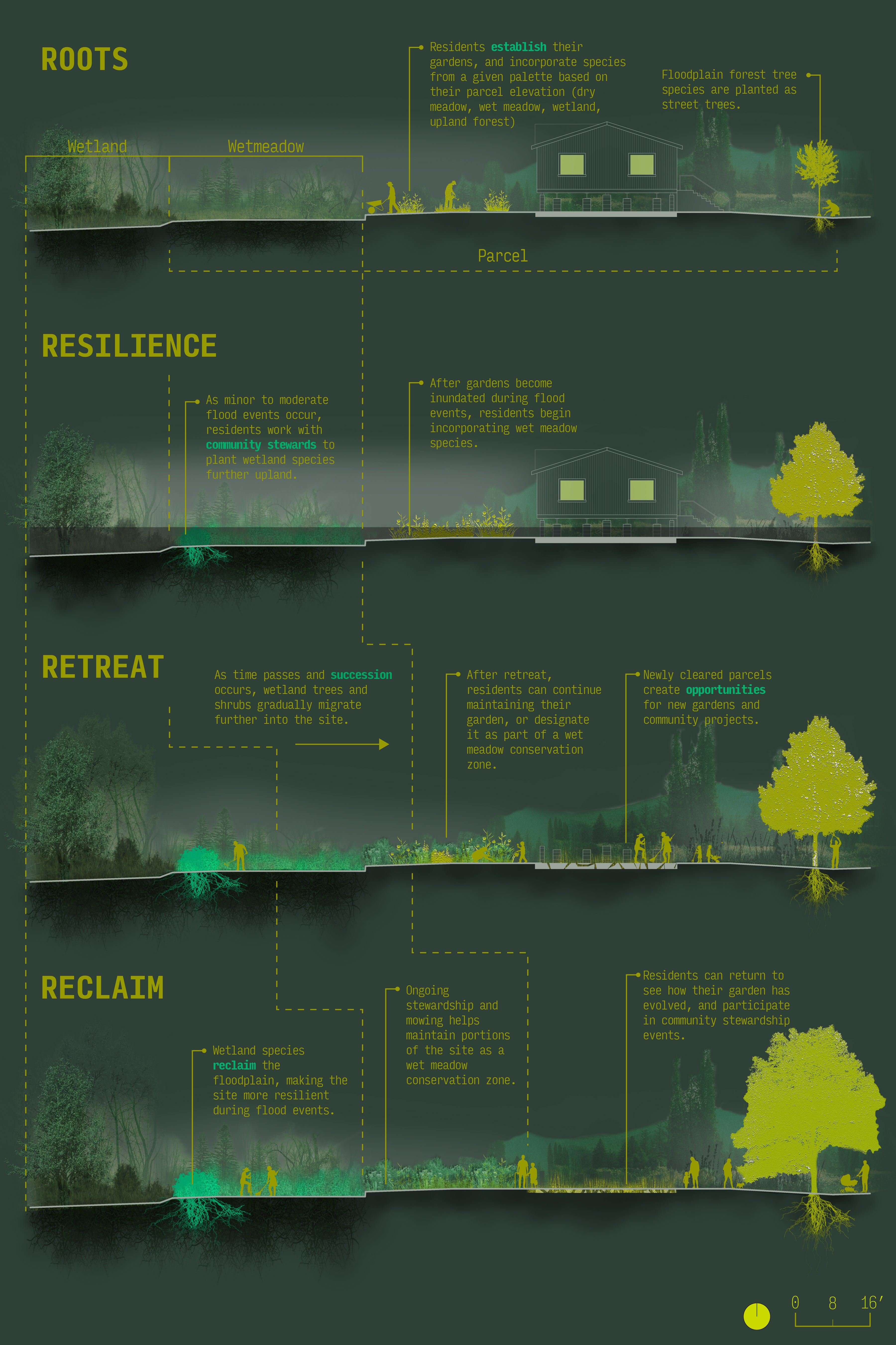 Four sections cut through a resident's parcel, illustrating how the landscape will change, and how people interact with it. 