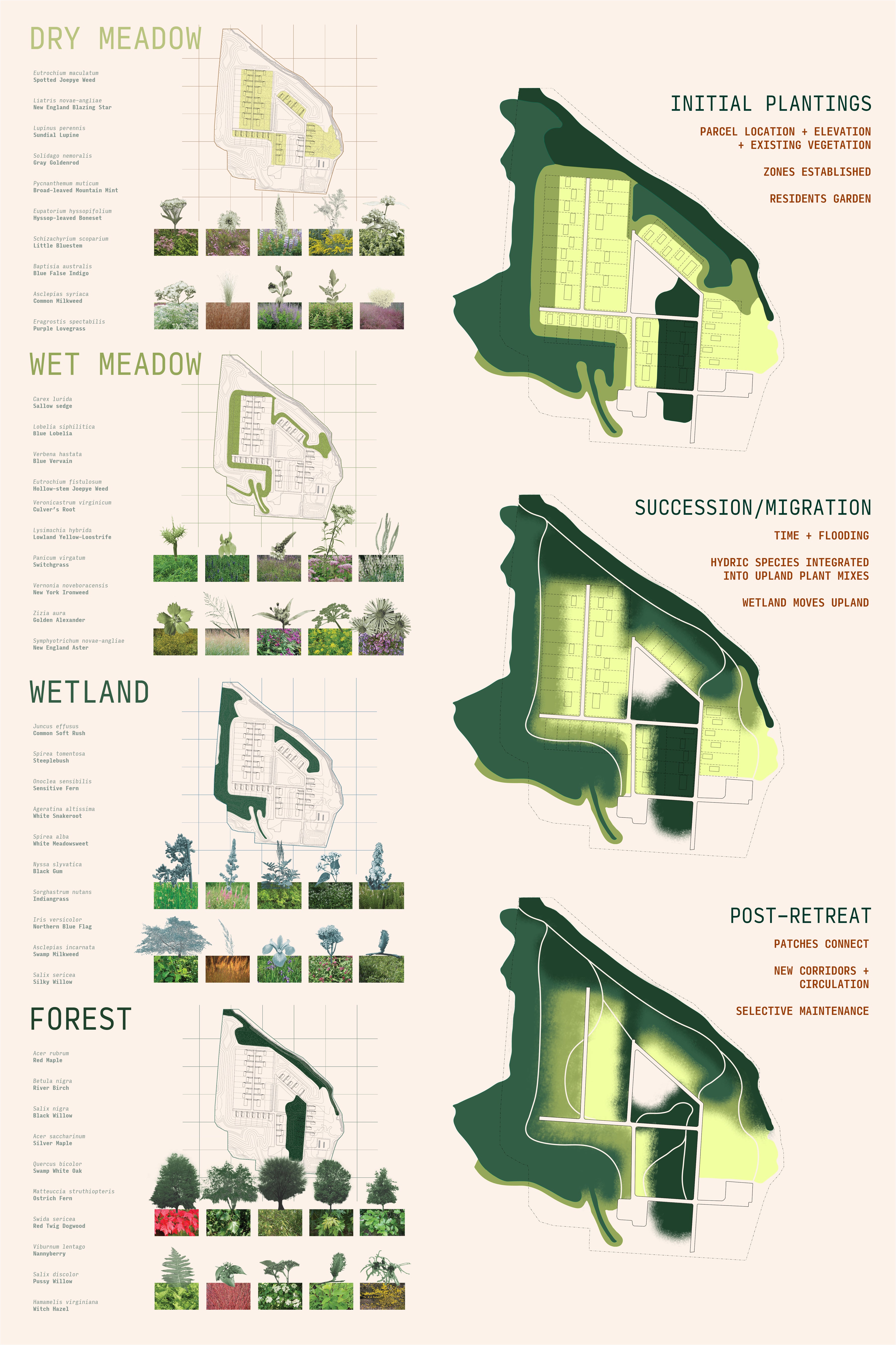 A set of diagrams showing a plan view of my thesis site, and where plants are located.