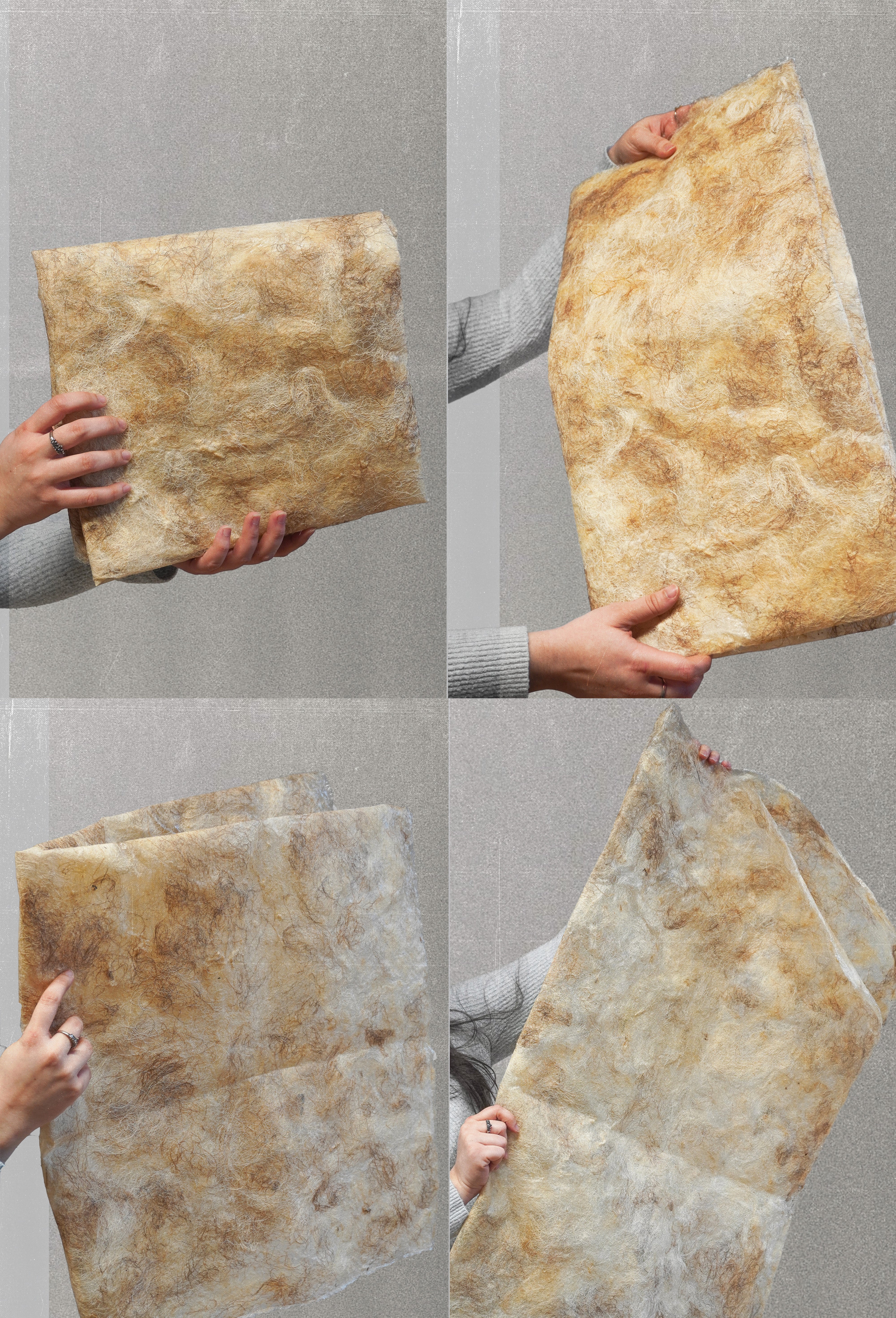 A four-panel grid showing hands holding and manipulating a handmade composite sheet of raw wool and sodium alginate. The sheet/skin is thin and flexible, with mottled beige, cream, and brown tones and visible fibers embedded