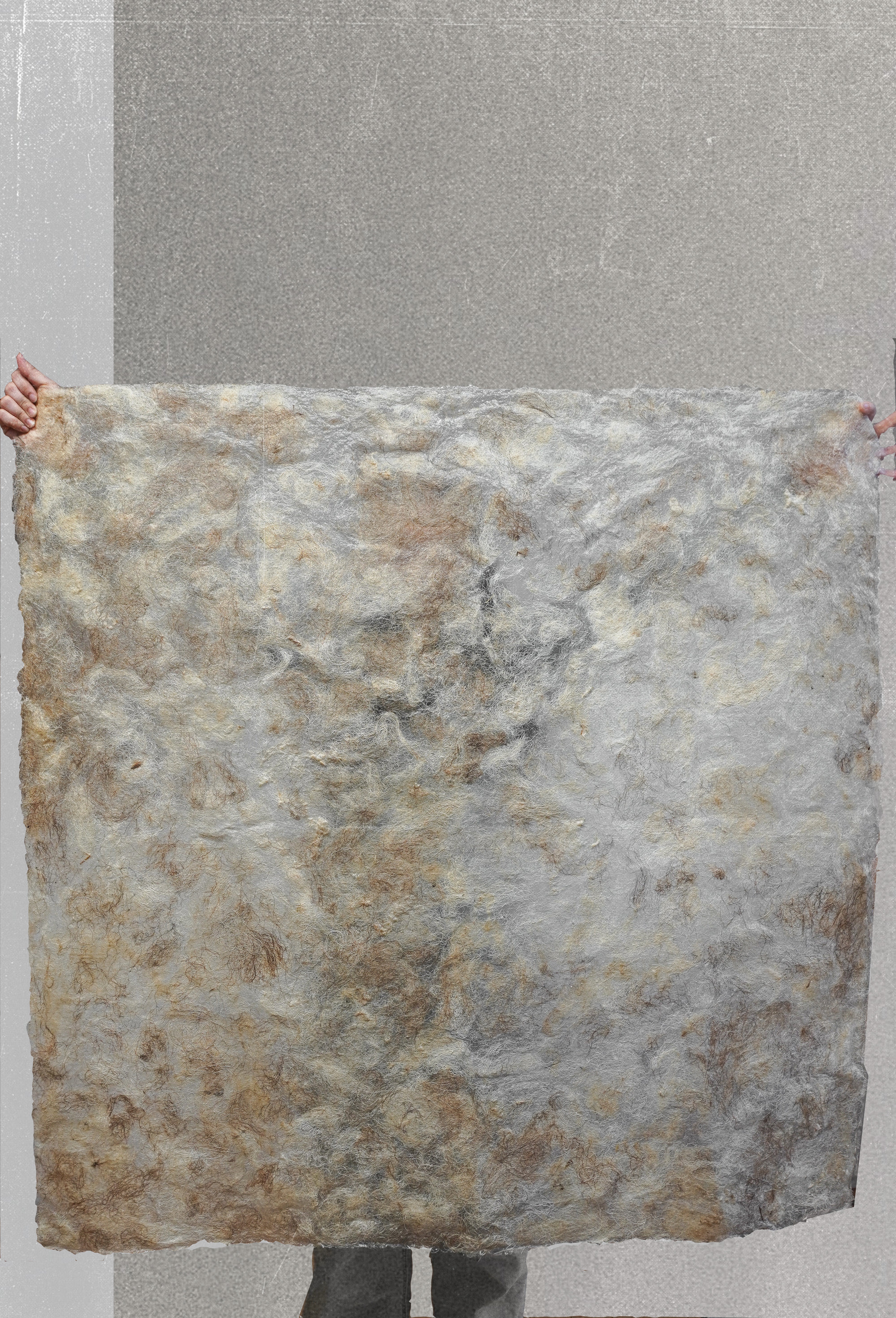 A fully unfolded 4-by-4-foot sheet of raw wool and sodium alginate is displayed flat, revealing its full scale. The material appears thin and semi-translucent, with soft variations of cream, beige, and brown fibers dispersed unevenly across