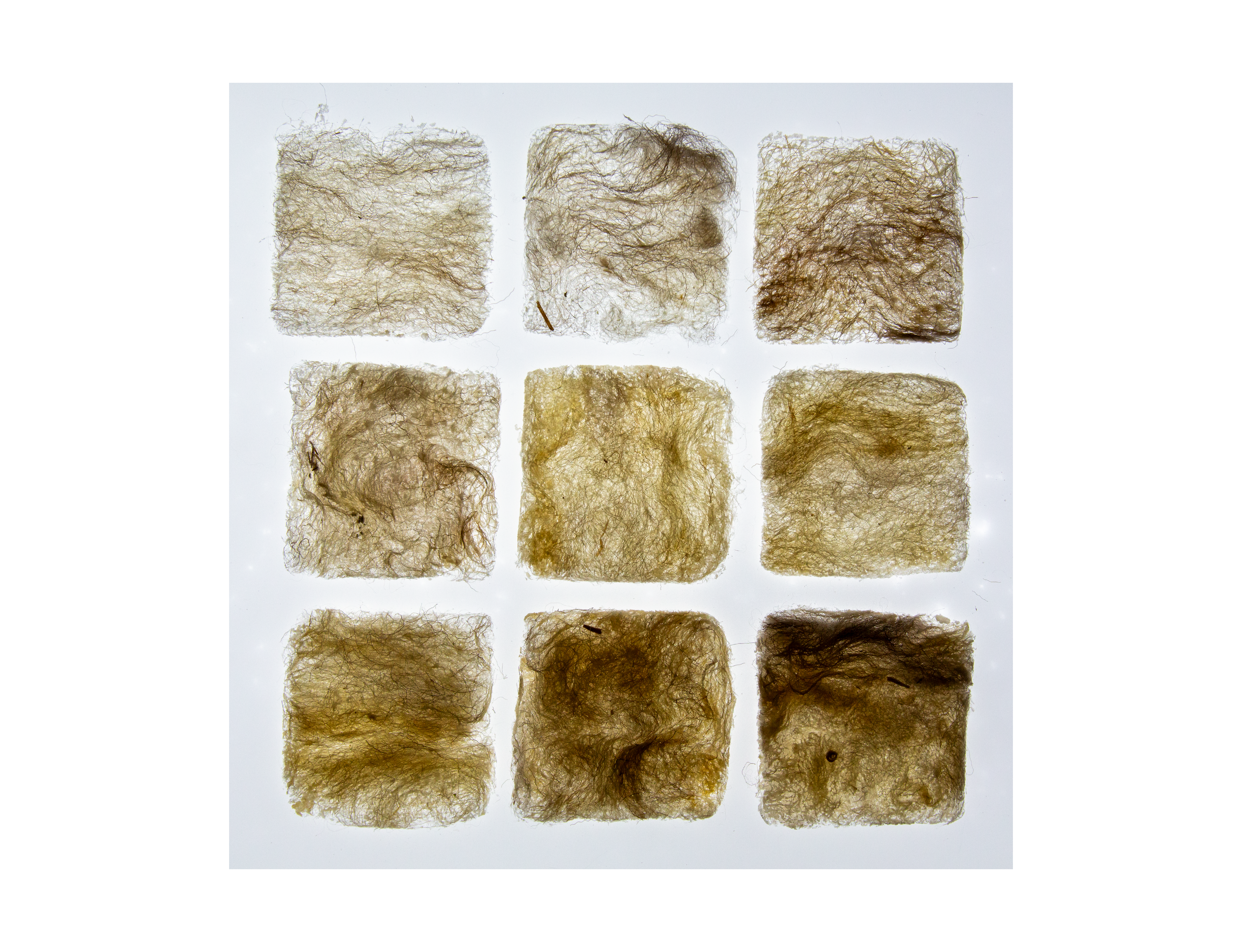 The combination of salt and wool creates a unique filtration of light and transparency.