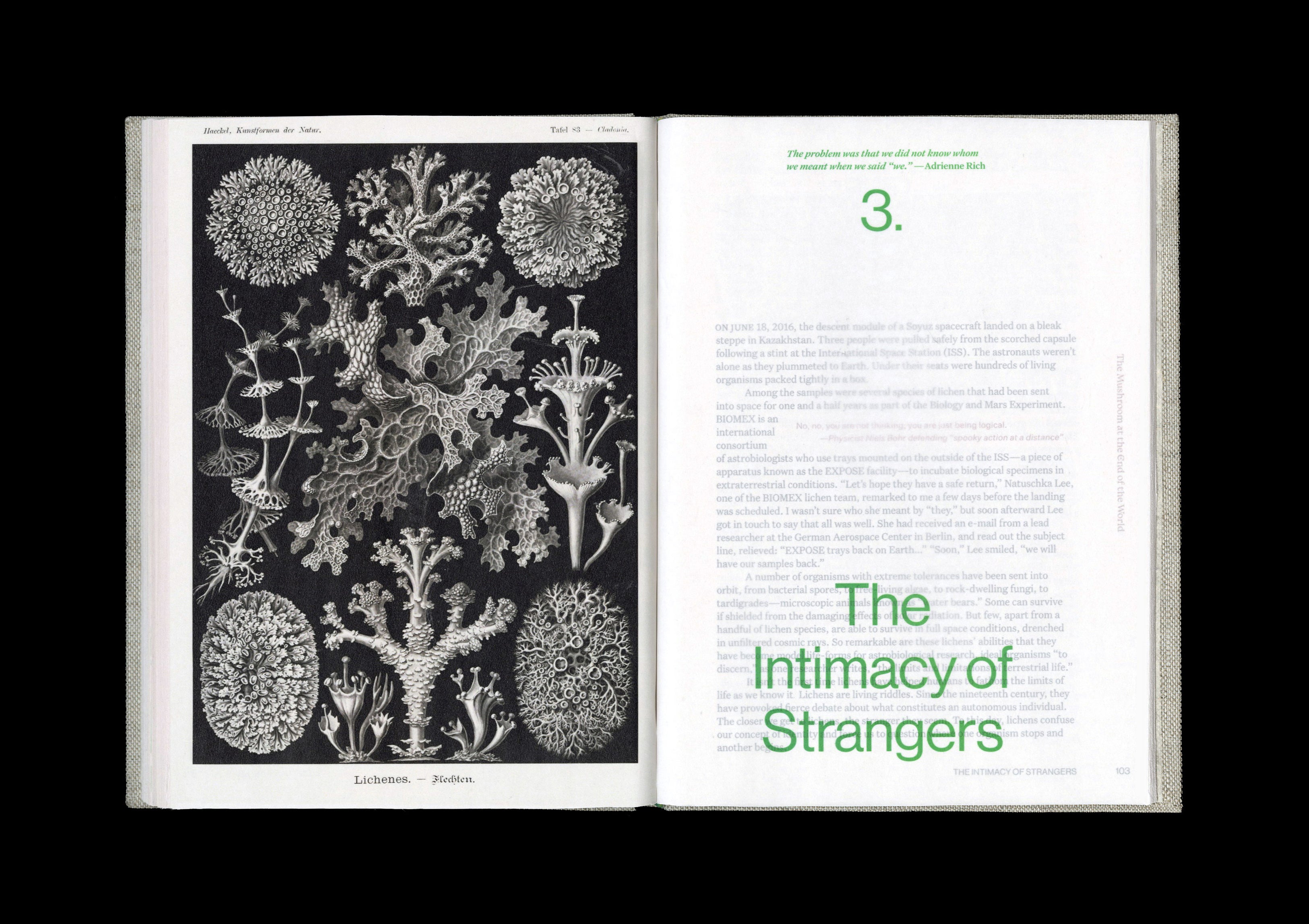 Open book pages with black-and-white image of lichen on the left page and green san-serif title on the right reading the name of the chapter and a quote.