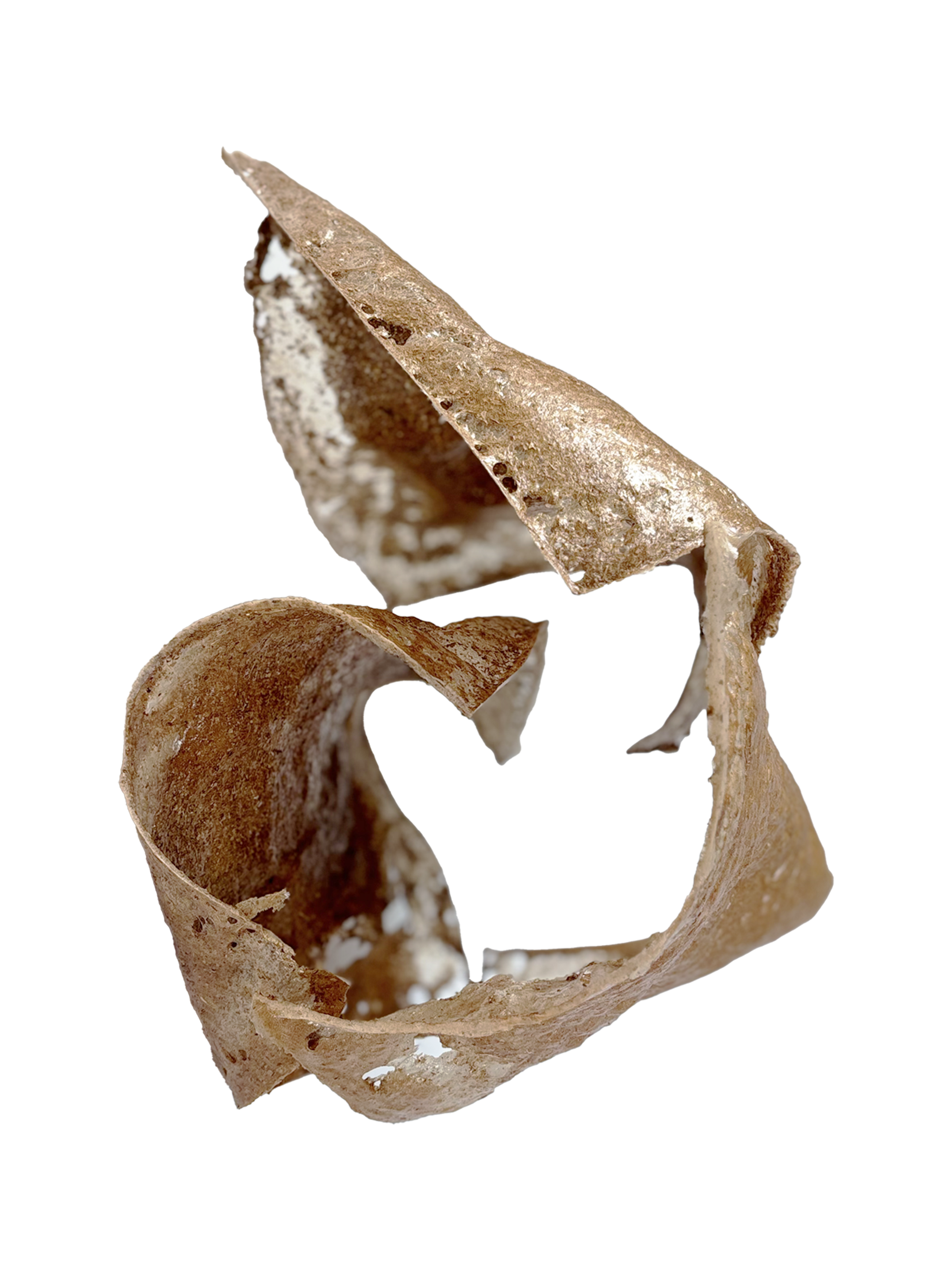 Three curled forms made of leaf bio-composite, warm brown and translucent in places,  arranged against a black background. They twist and coil at different angles, overlapping slightly.