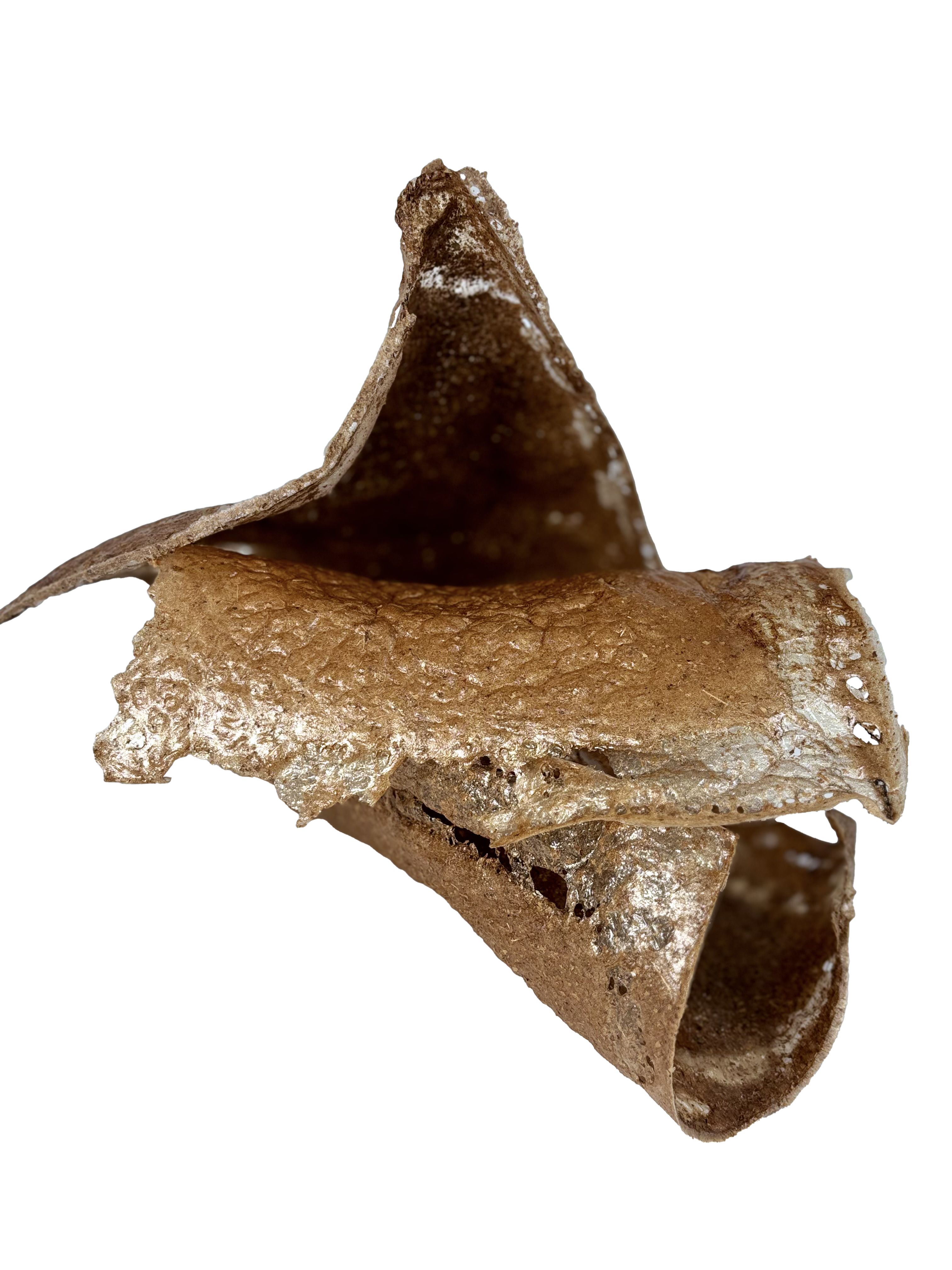 Stacked pieces of leaf bio-composite, warm brown with a glossy, textured surface. The top piece rises to a peak; the lower pieces curl.