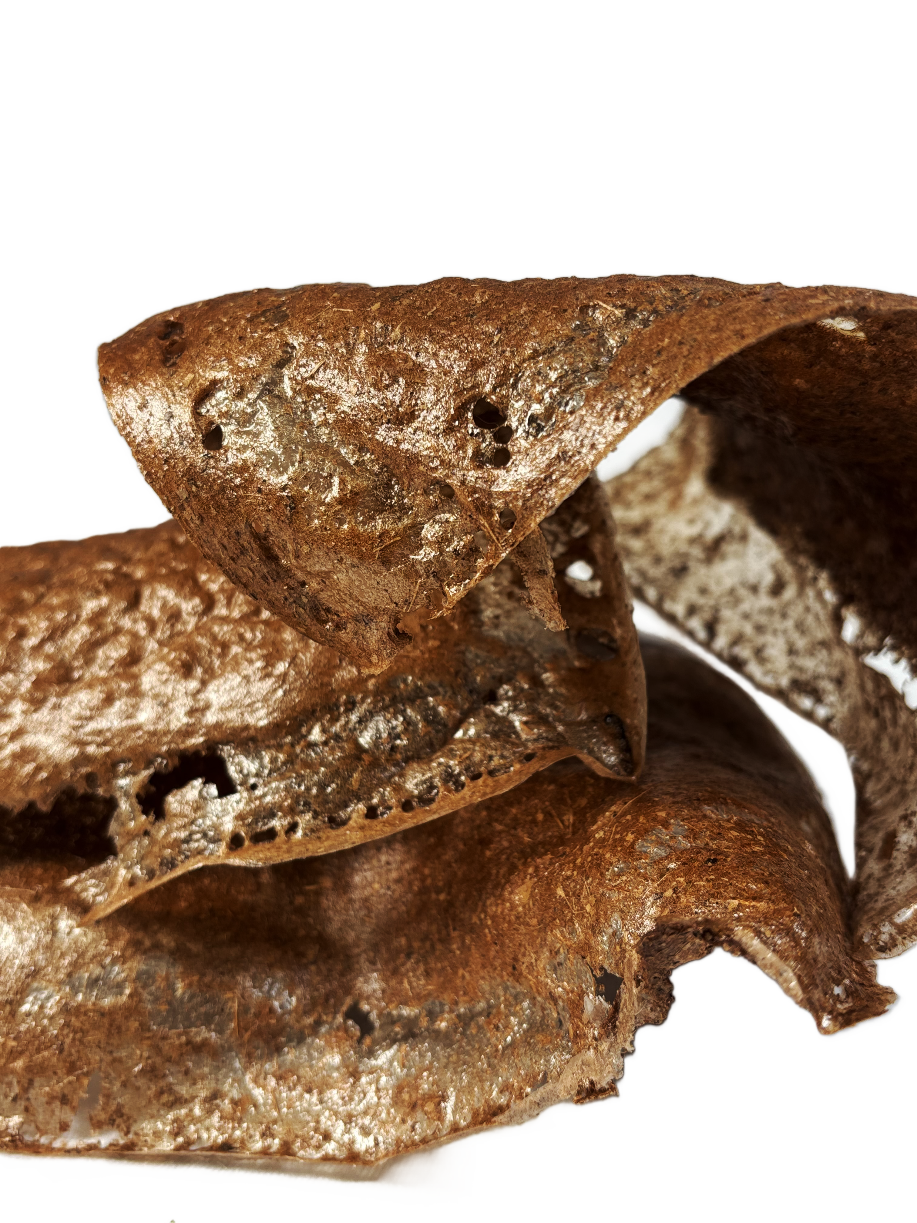 a close-up of layered fallen-leaf bio-composite pieces, warm brown and glossy with a pitted surface. Curled edges create spaces between layers.