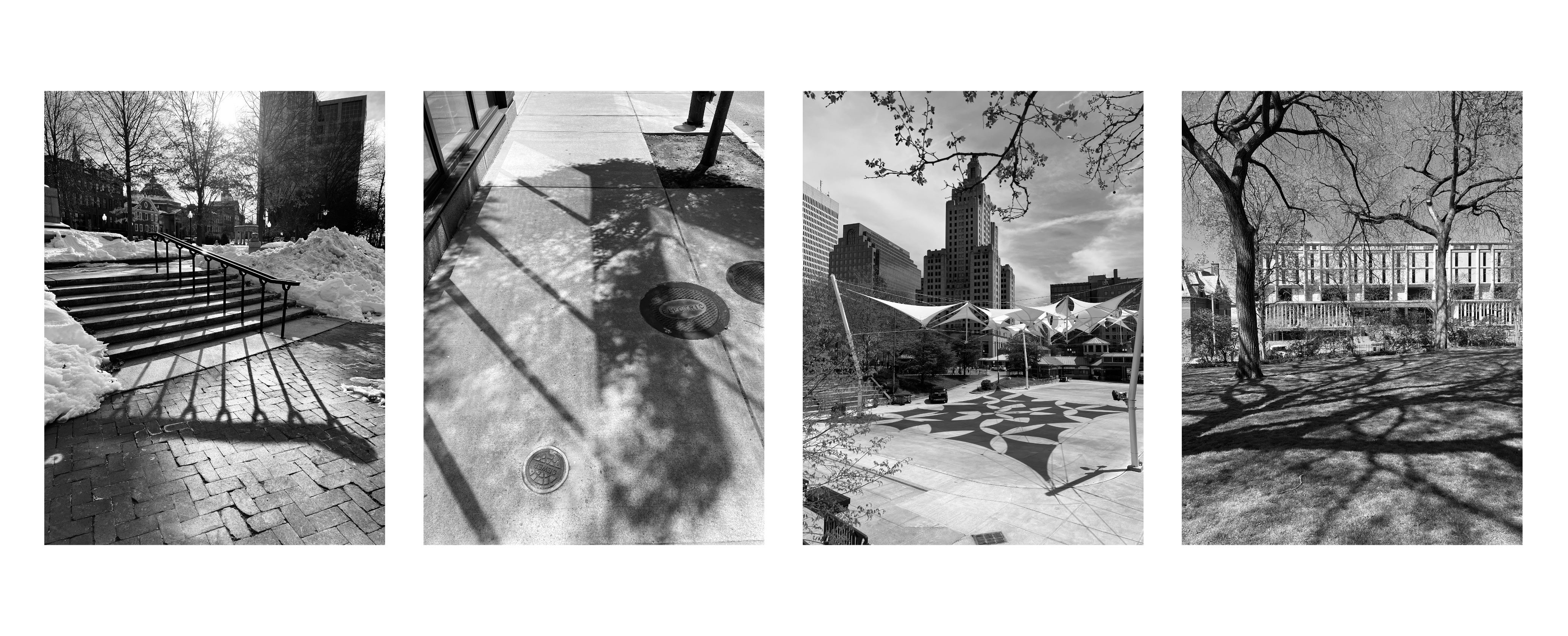 4 photos of natural, architectural, or mixed shadows: long shadow from steel railing; reflected light and sidewalk tree; geometric shadows from tension fabric roof; shadow of spread branches from old trees on a grass field.