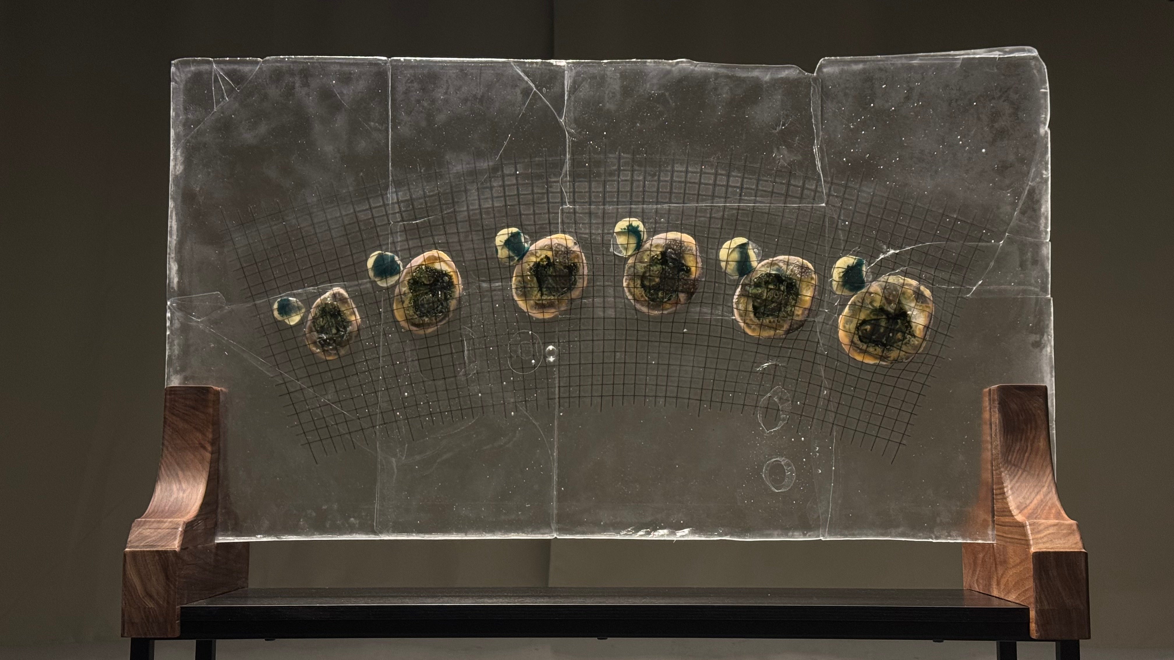 Transparent glass sheet with embedded curved glass grid and melted glass rocks held on a wooden structure resembling a distorted star map.