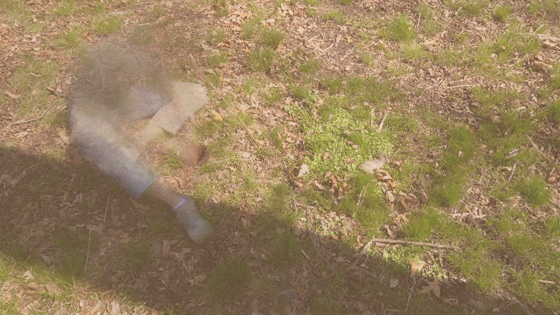 A person sits on a forest floor covered with grass and leaves while shaping a bowl-like form in the ground by hand.