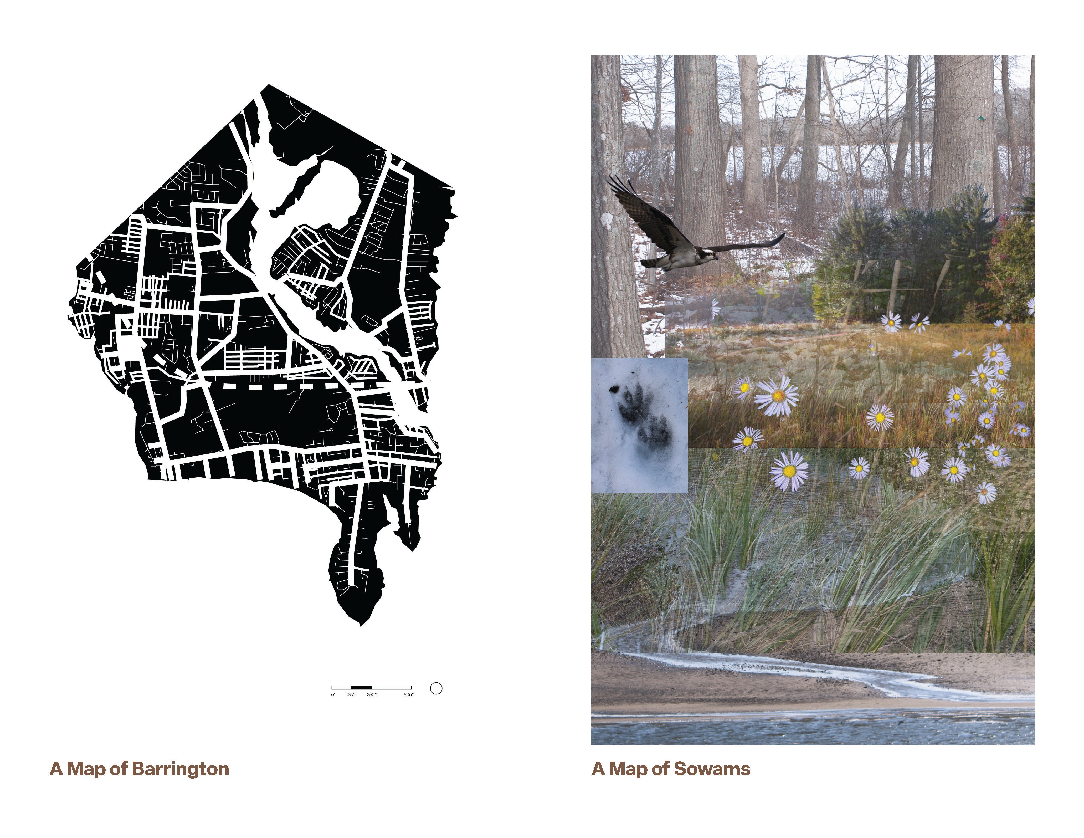 On the left, a black and white map shows streets and waterways, labeled "A Map of Barrington". On the right, a collage depicts the same landscape with images of trees, daisies, a bird in flight, and a paw print, labeled "A Map of Sowams."