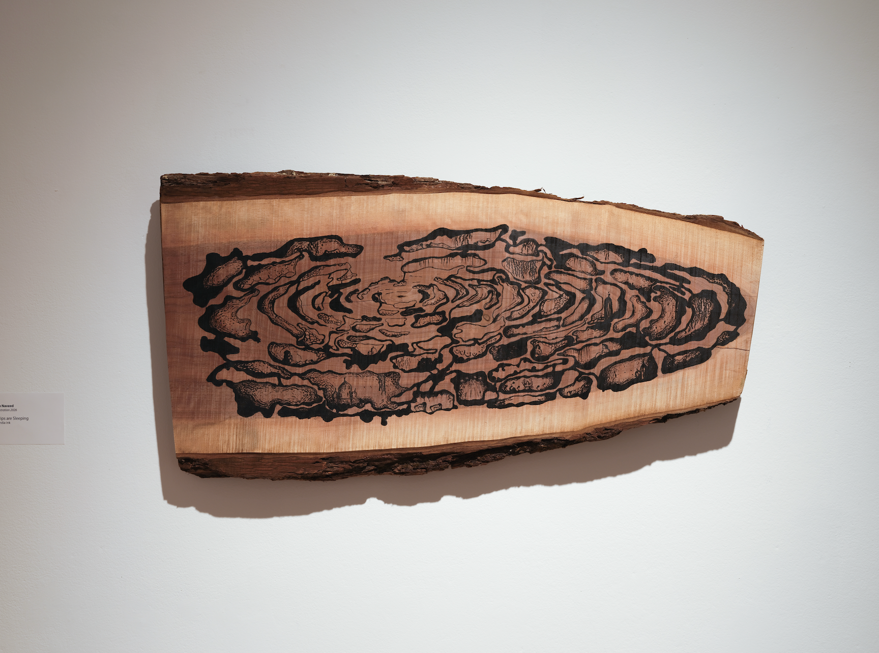 A live-edge wood slab mounted on a white gallery wall, its bark edges intact on all sides. The warm honey and rose tones of the sanded wood surface are left largely exposed, with a single central form