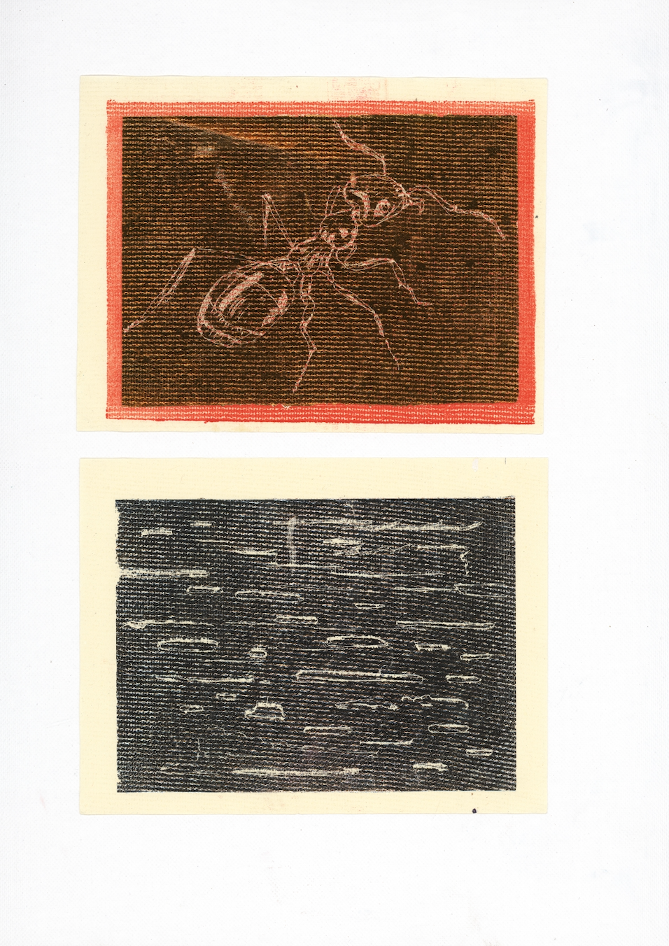 Two small prints on cream paper, presented together. The upper print shows a large ant rendered in red-brown lines on a dark golden background with a coral-red border. The ant's body and legs are drawn with loose marks
