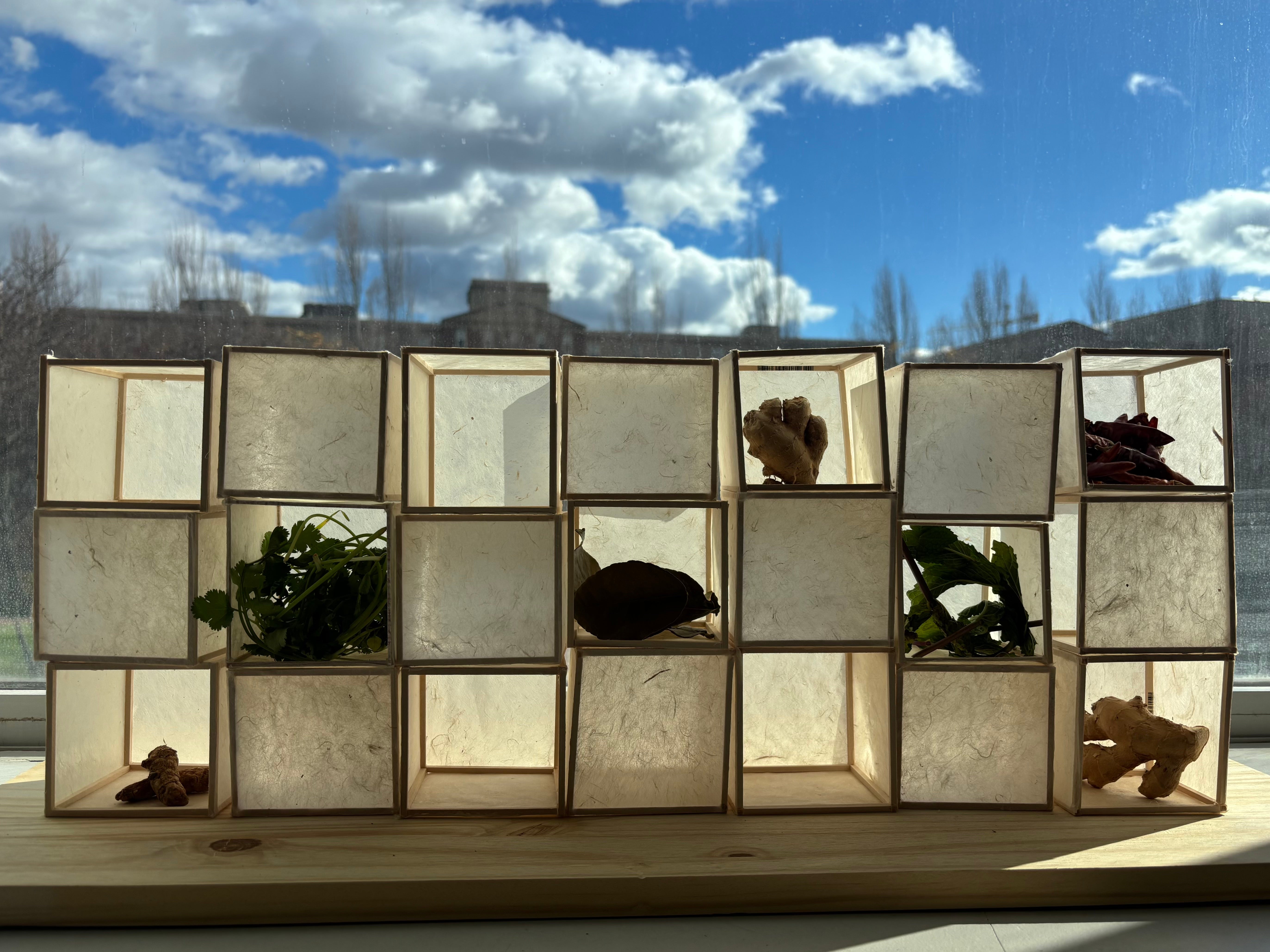 Cubes made of translucent Lokta paper are stacked to create a wall. Nestled inside each cube are spices (ginger, tumeric, chili, mint, and kaffir lime) creating a spice wall.