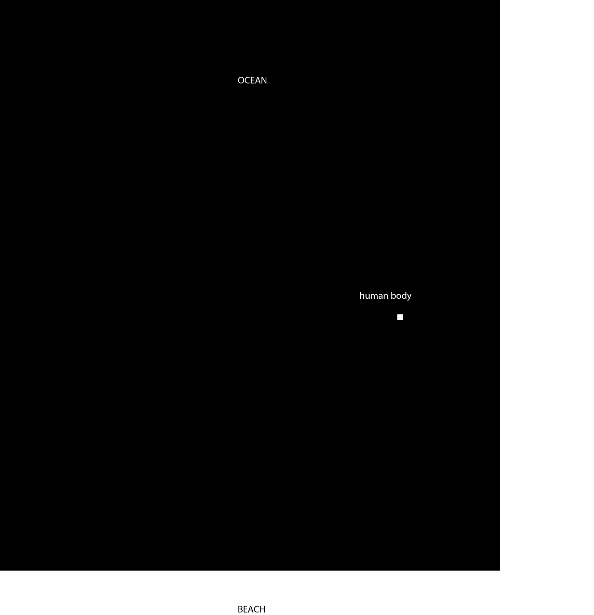 Dark field with uppercase labels “OCEAN,” “BEACH,” and lowercase “human body,” plus a faint white square.