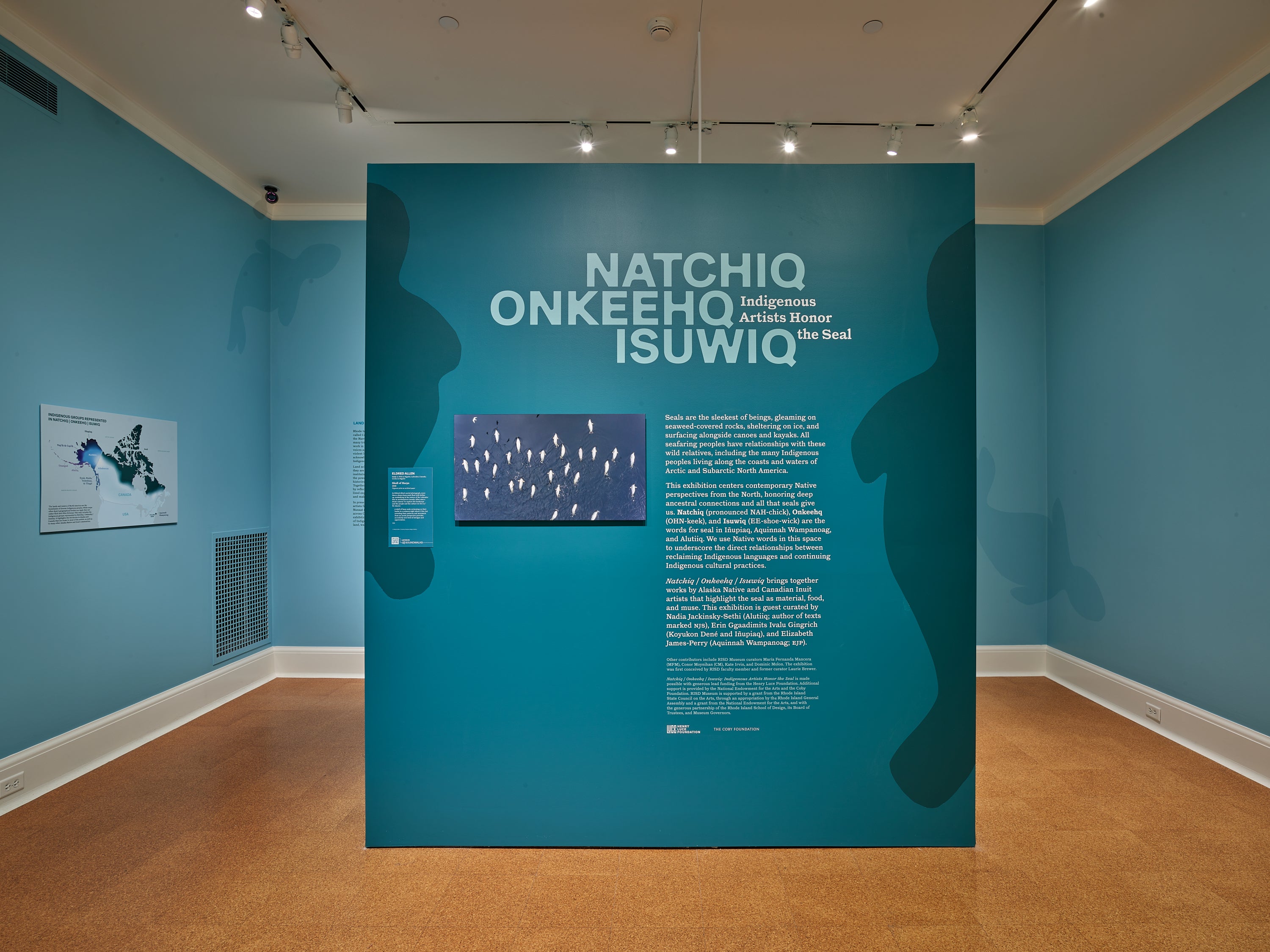 An exhibition gallery displays a large teal wall panel with the title "Natchiq Onkeehq Isuwiq: Indigenous Artists Honor the Seal" in light blue typography, accompanied by contextual text and an artwork featuring white seal silhouettes on a dark background.