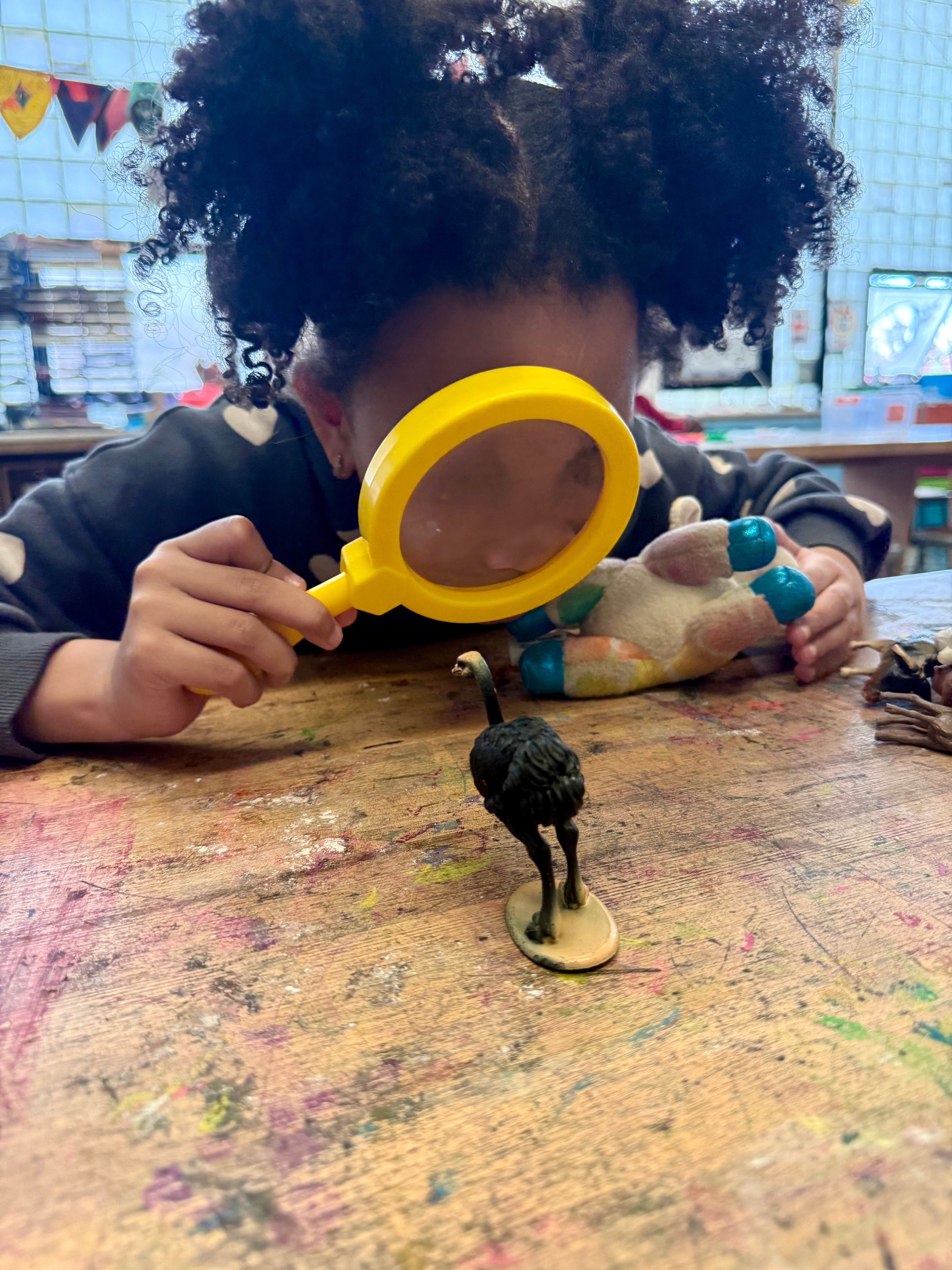 Elementary student sitting at a desk looking at an ostrich toy through a magnifying glass.