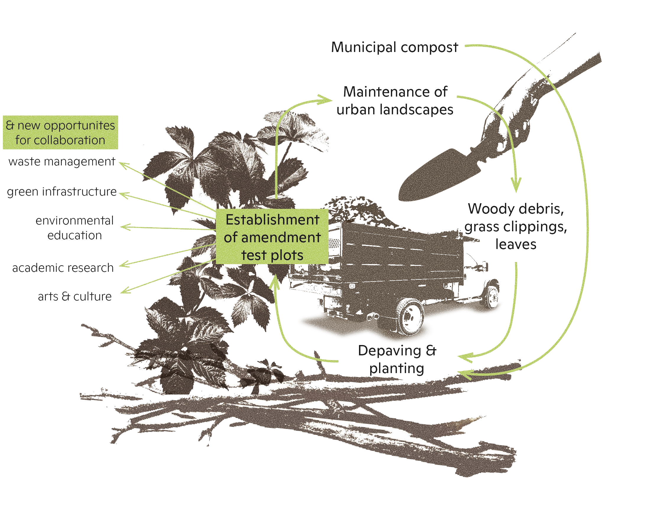 System diagram showing how landscape 'waste' is diverted away from the landfill and back to the land, producing the conditions for experimental landscapes and local collaboration networks. Image of virginia creeper, a pile of brush, a gardener's hand, and a mid size truck behind the diagram.