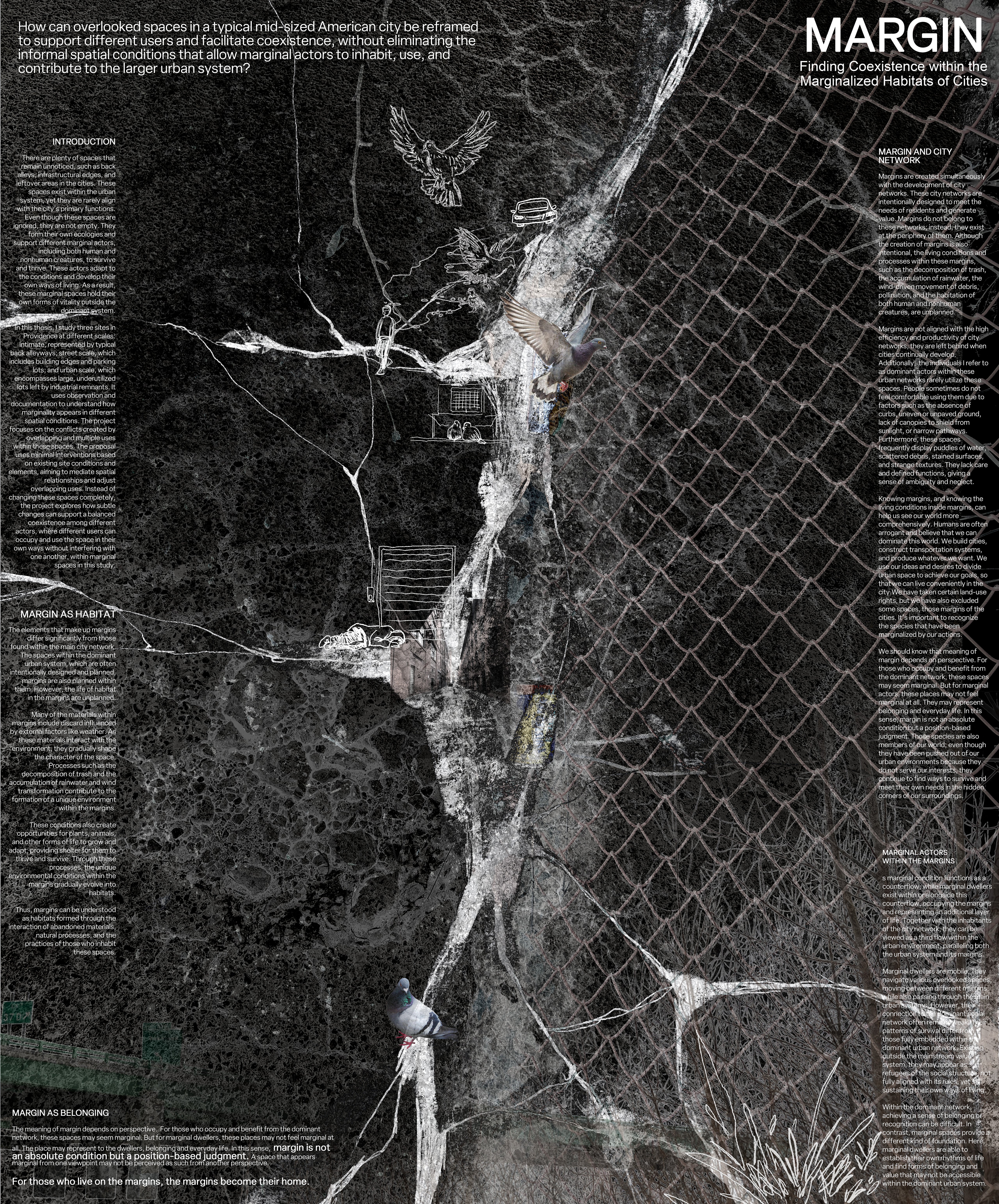 A dark background with a white crack, collaged with hand-drawn street scenes, pigeons, plants, photos of a fence, and white text about overlooked urban spaces and coexistence. 
