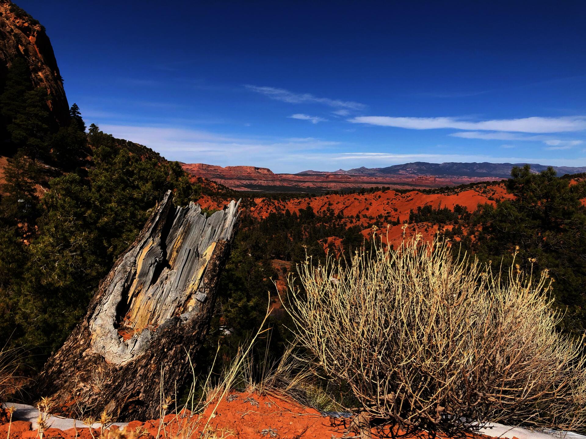 landscape near Cove, AZ